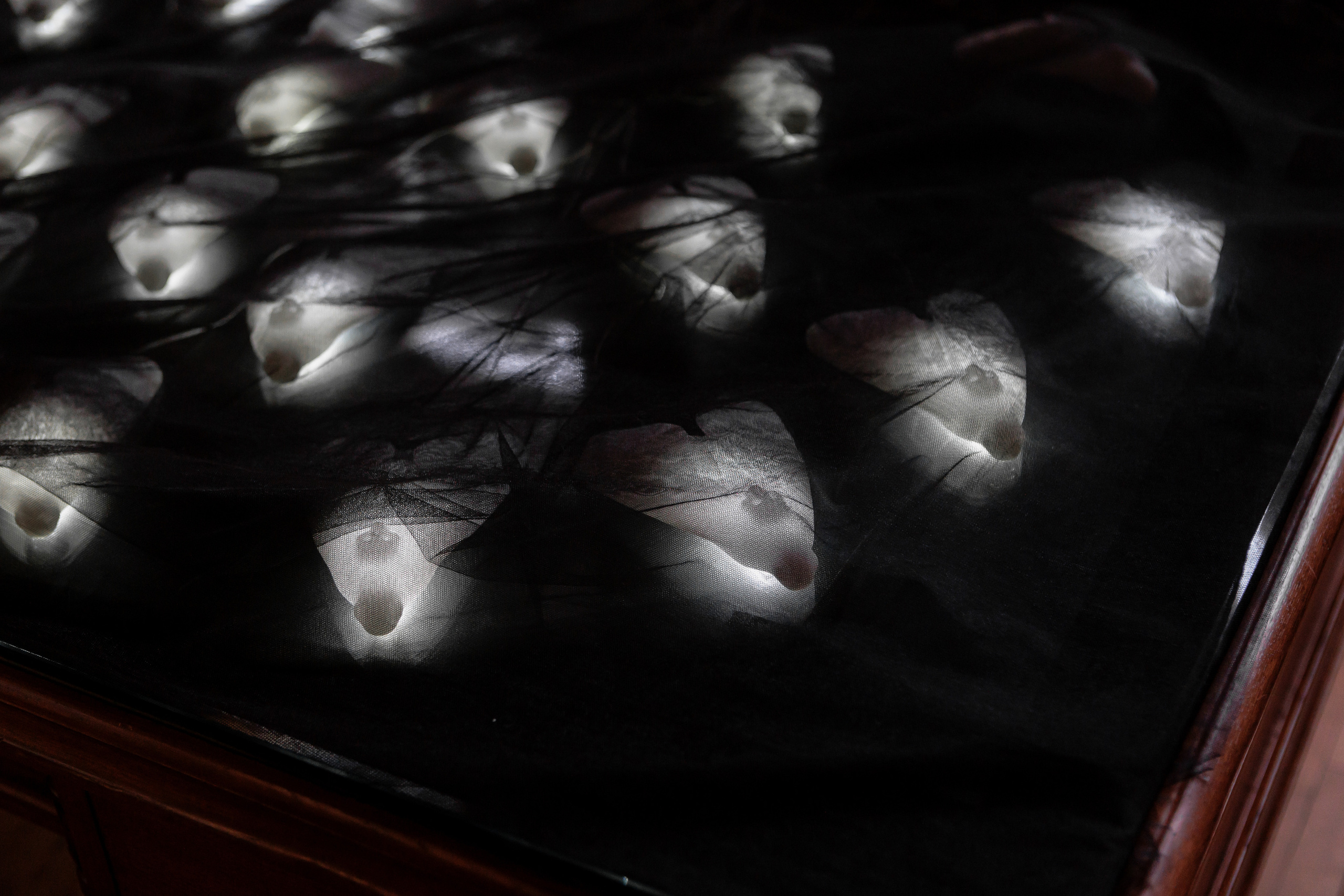 How to catch a moth?. Ilia Kronchev-Ivanov