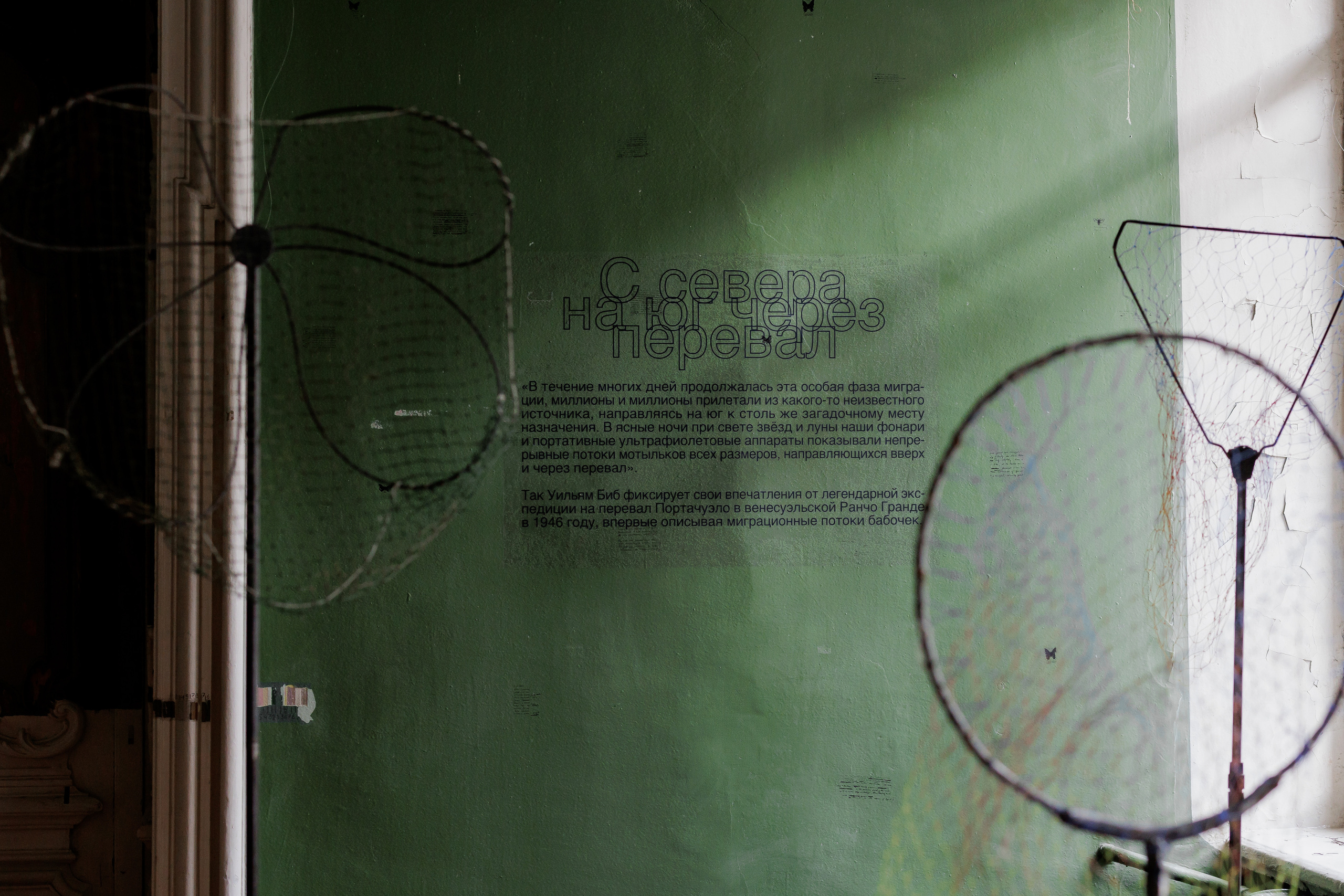 How to catch a moth?. Ilia Kronchev-Ivanov