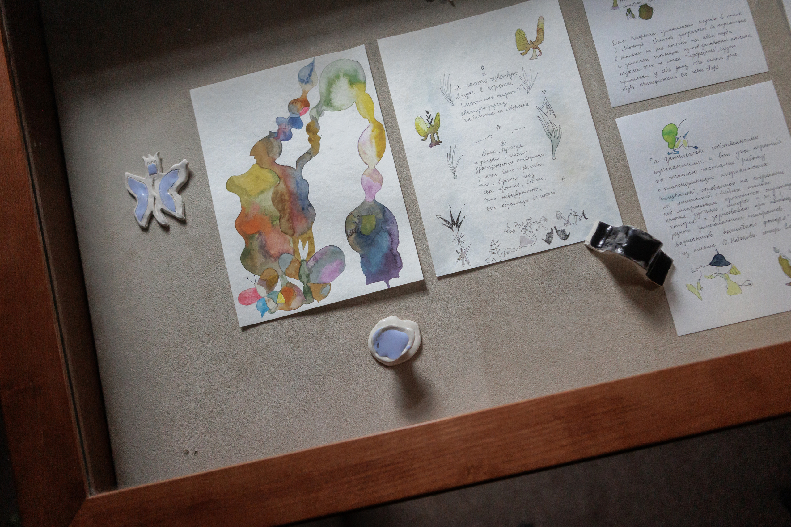 How to catch a moth?. Ilia Kronchev-Ivanov