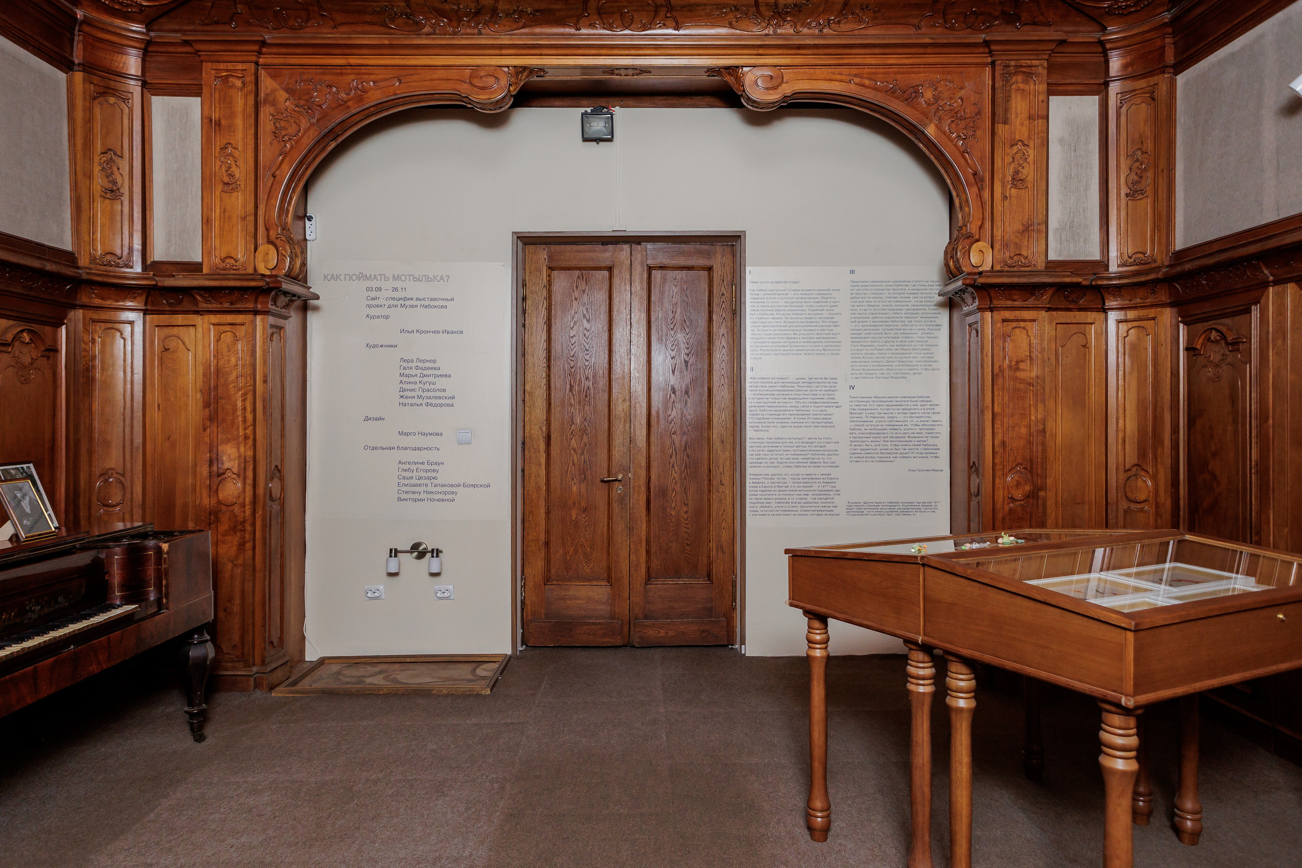 How to catch a moth?. Ilia Kronchev-Ivanov