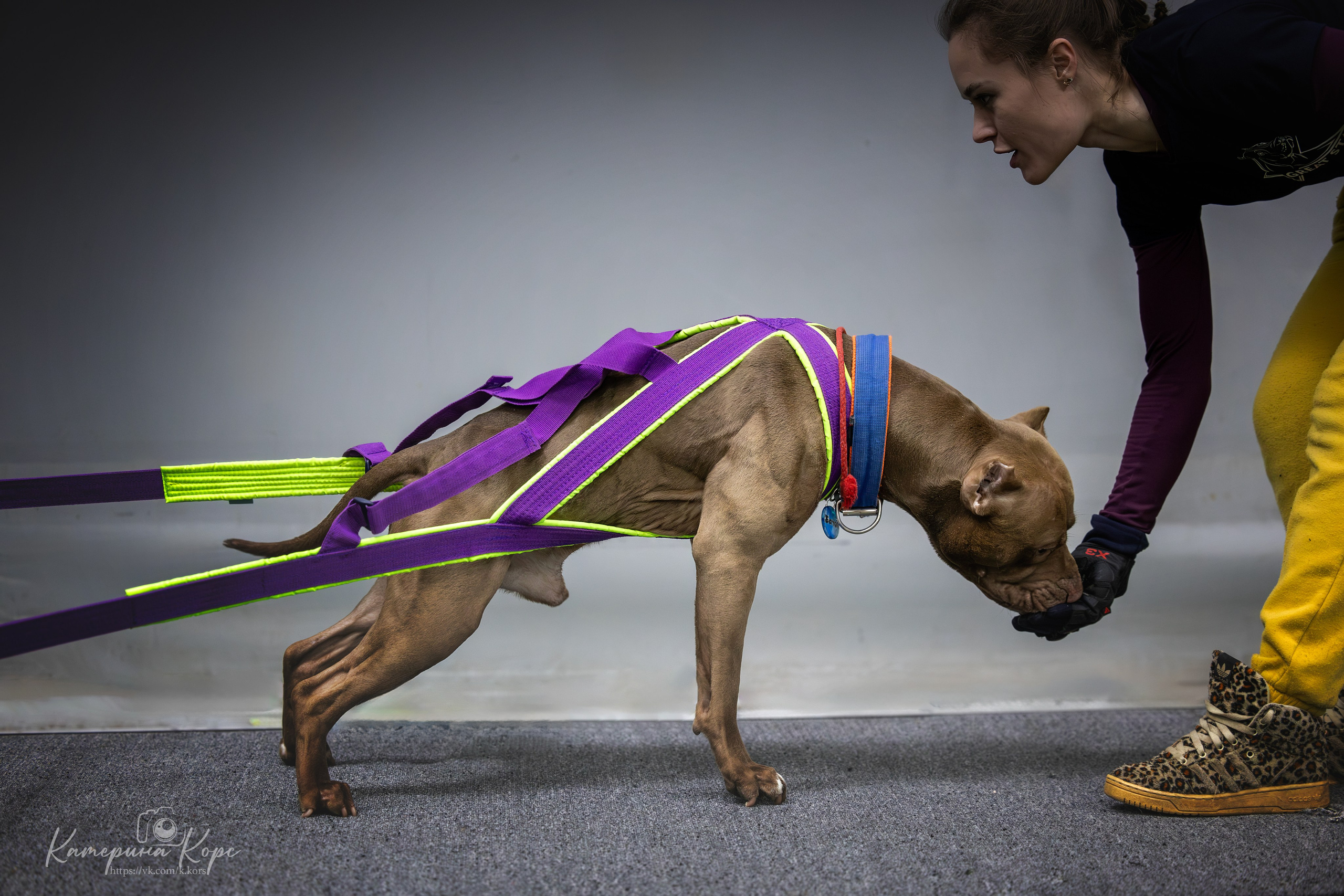 Спорт. Главная