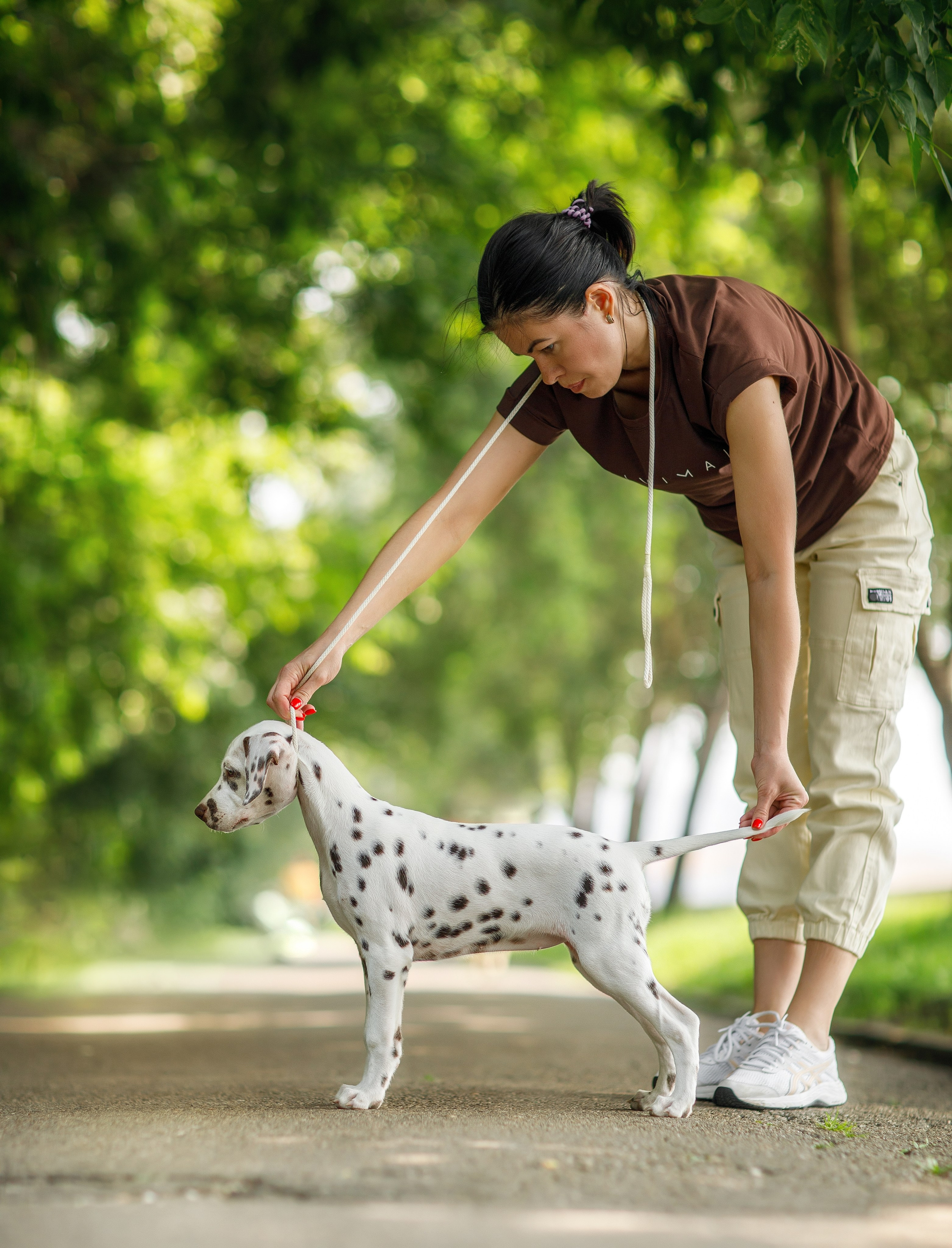 Фотосессия щенков. Фотограф для Вашей собаки