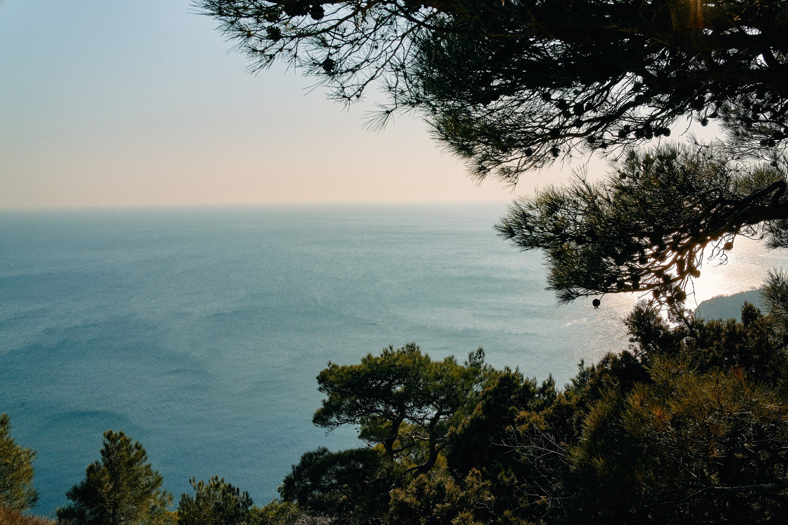 Юг России. Профессиональный Фотограф во Владимире, в Москве и в Суздале — Полина Романычева