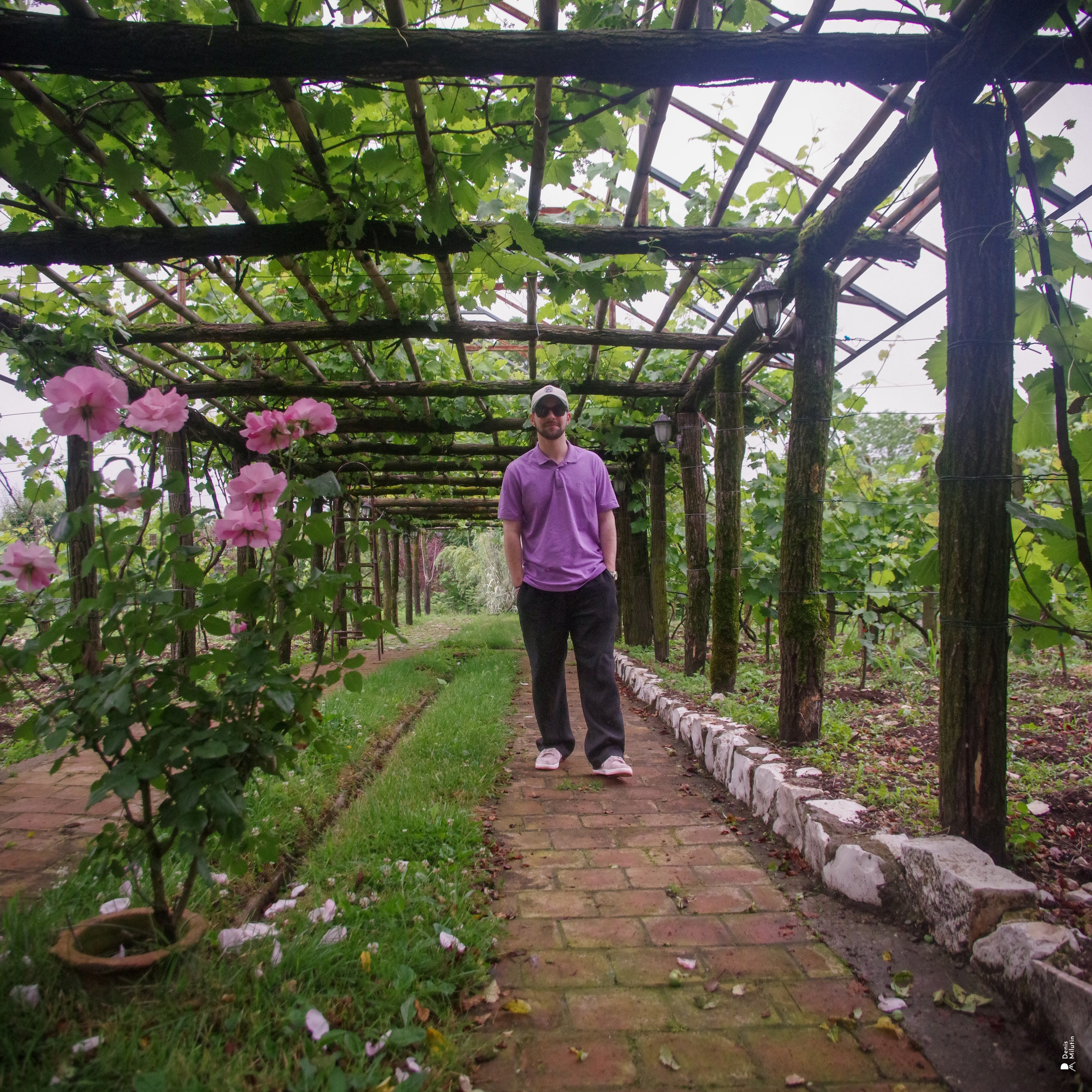 Хони. Портретный фотограф Денис Милютин