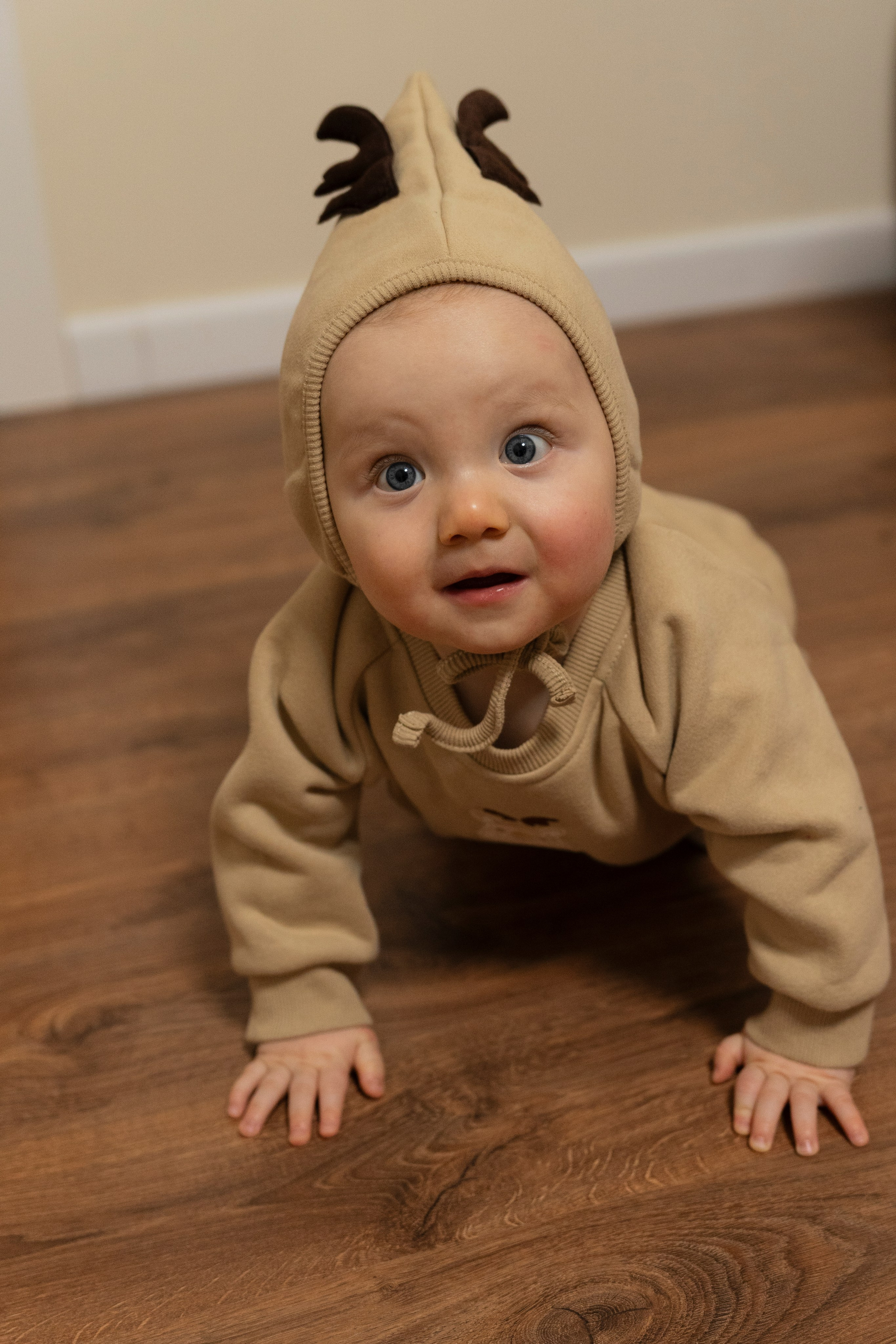 Новогодние тройняшки. Главная