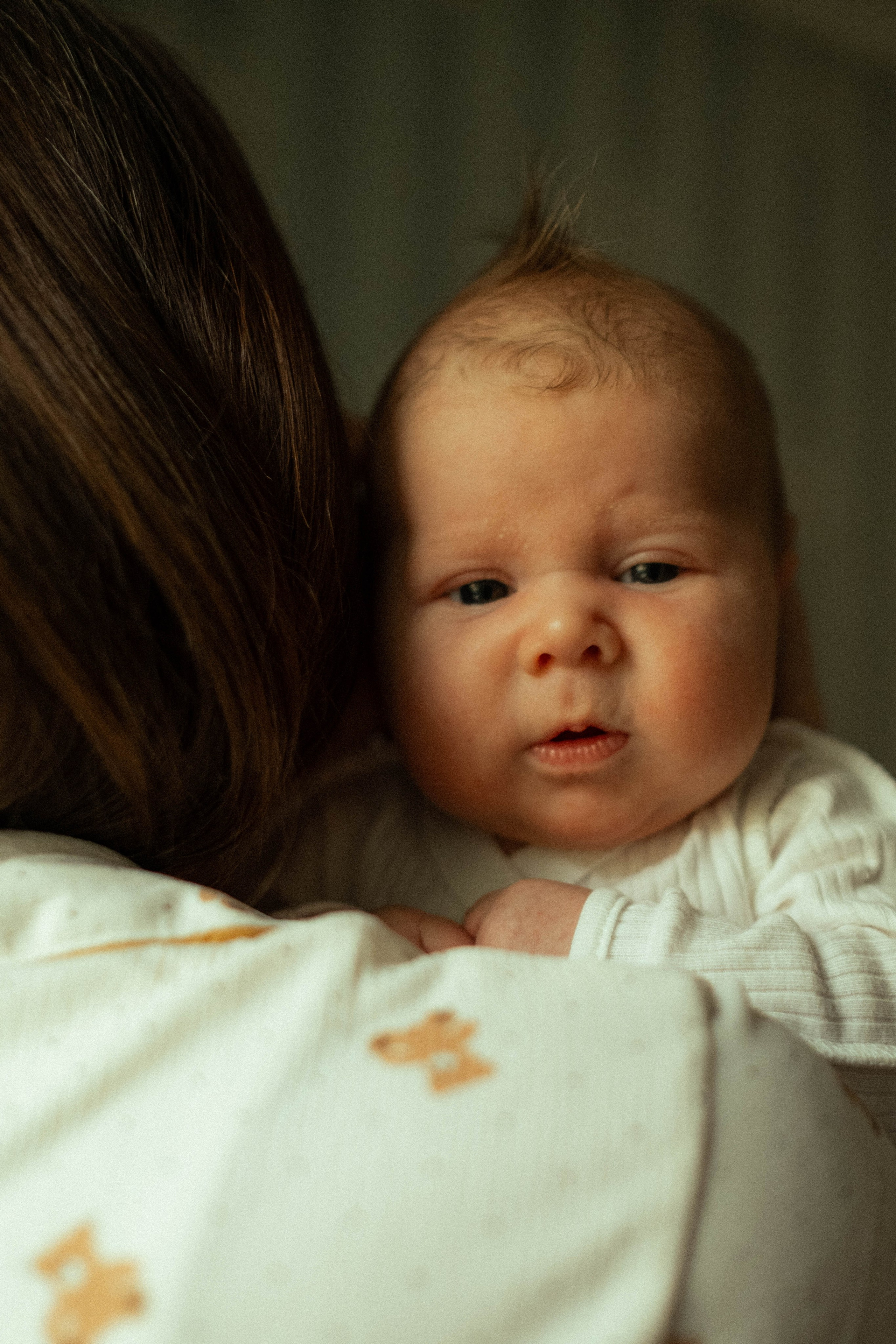 Новорожденный Максимка. Семейный фотограф в Санкт-Петербурге Дарья Косянчук