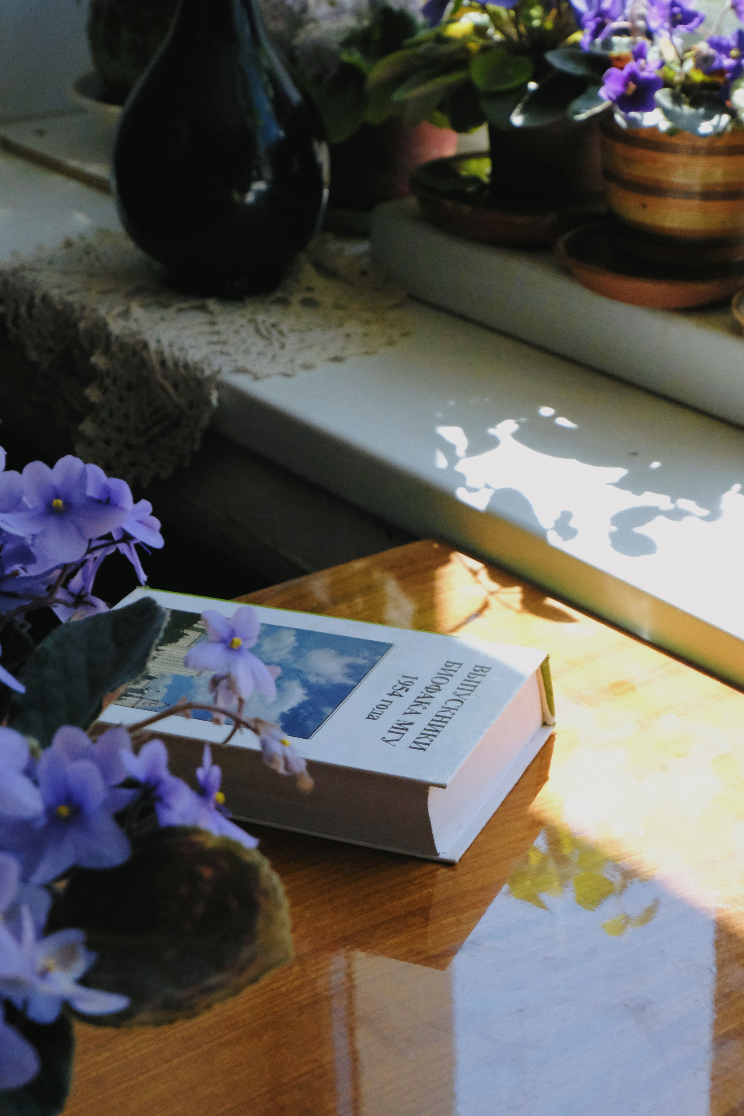 Проект «улыбка радости». Татьян гертье