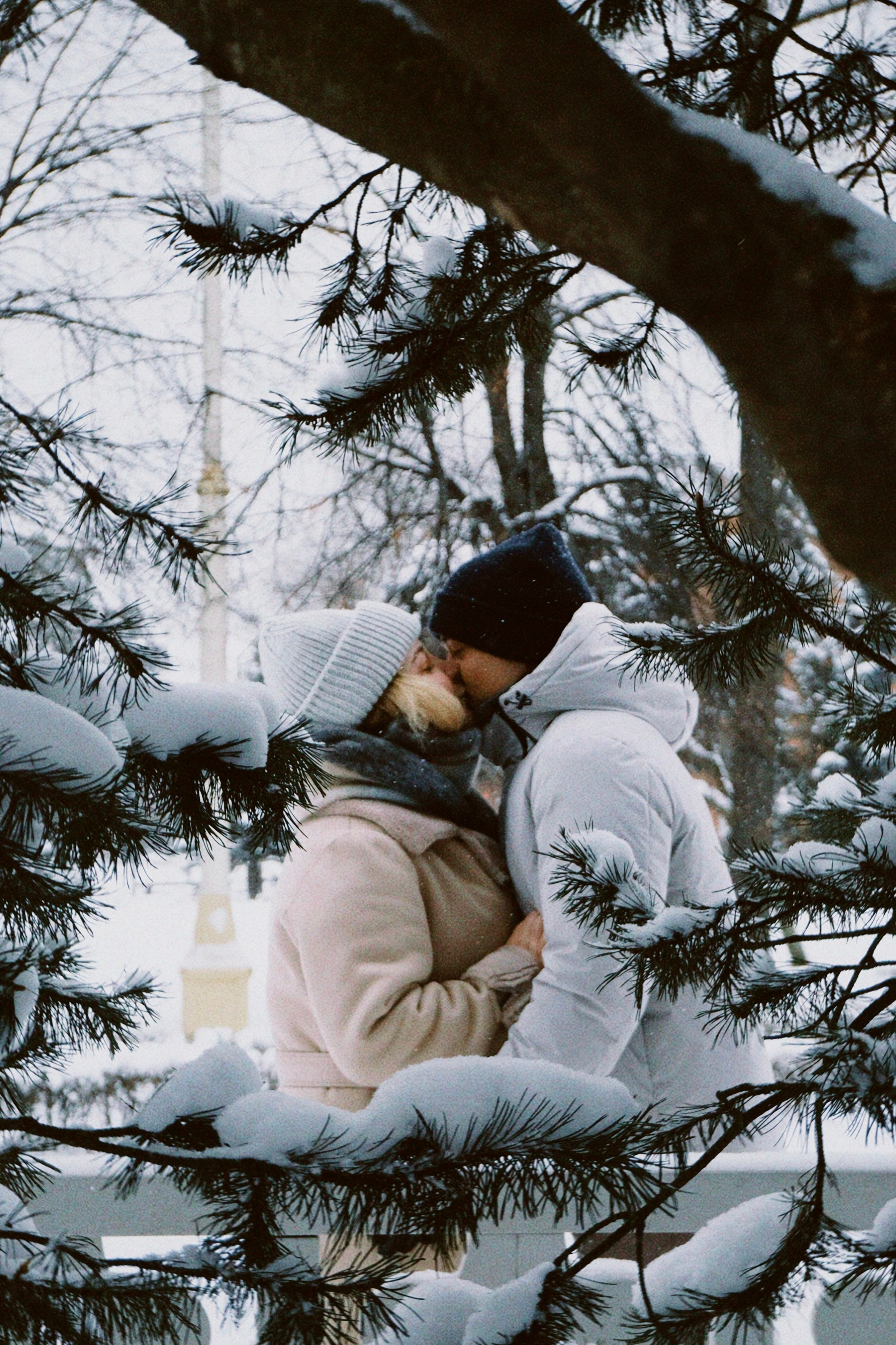 1+1. Татьян гертье