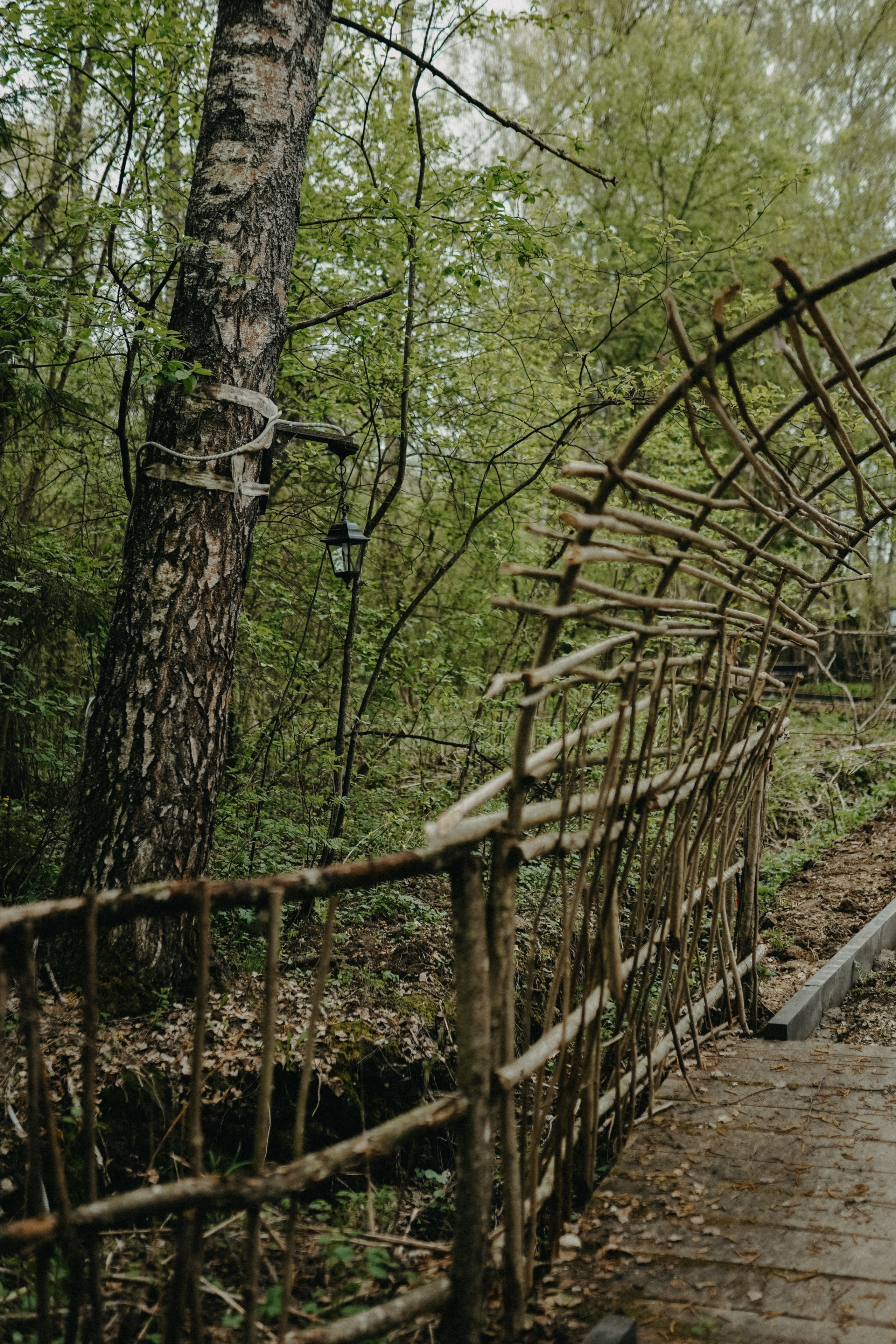 Евгений и Евгения. В единении с природой. Фотограф Наталья Колганова