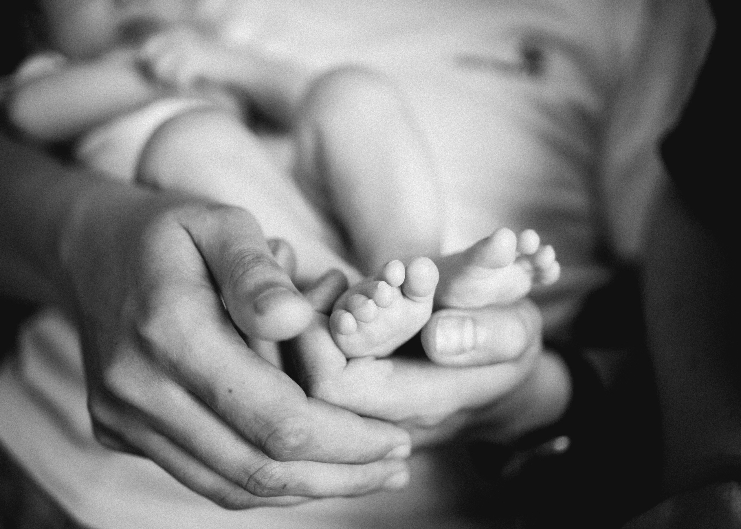 Варюша. SHILOVA PHOTO. Шилова Екатерина. Фотограф. Москва