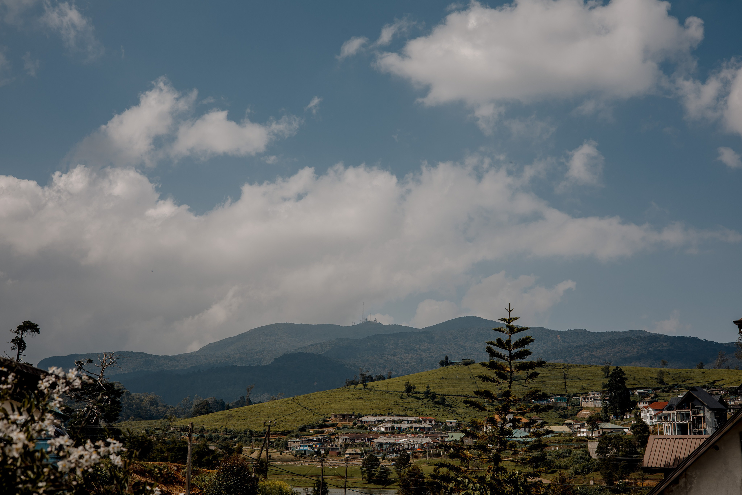 Sri Lanka, Nuwara Elia 2026. Art Photographer