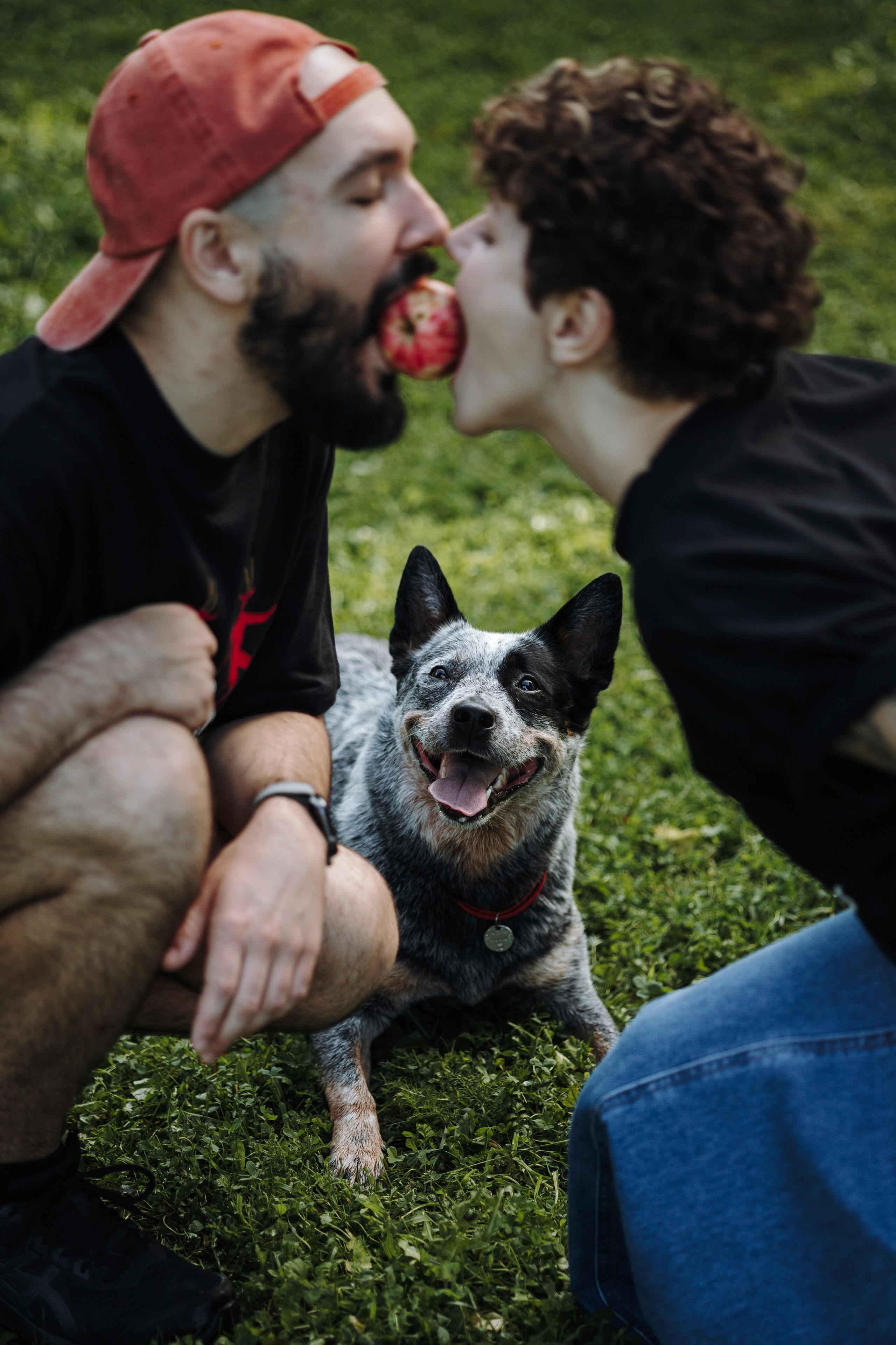 Кода и ее семья. Фотограф — Анималист | Санкт-Петербург
