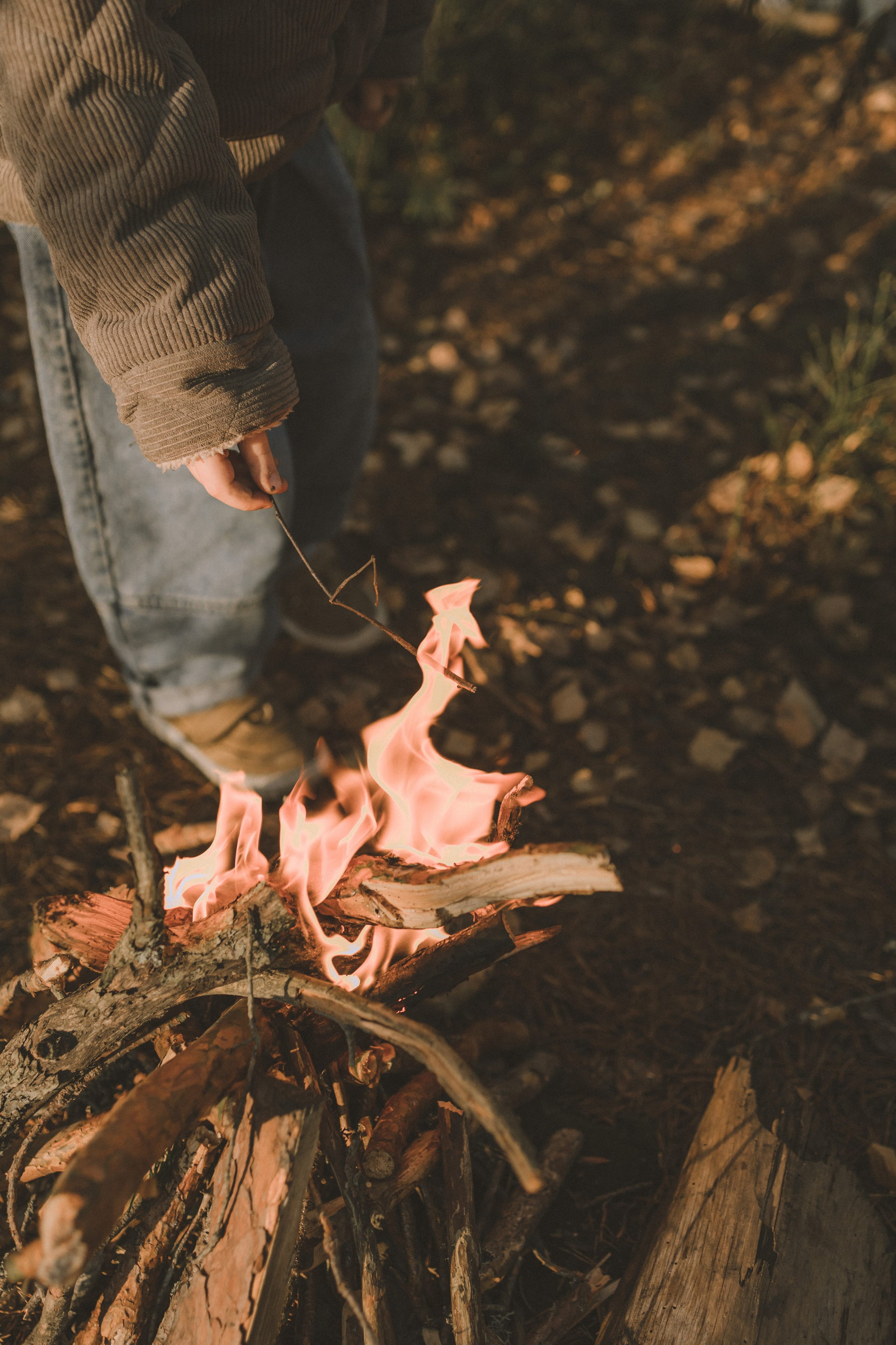 малыш жарит маршмелоу на костре