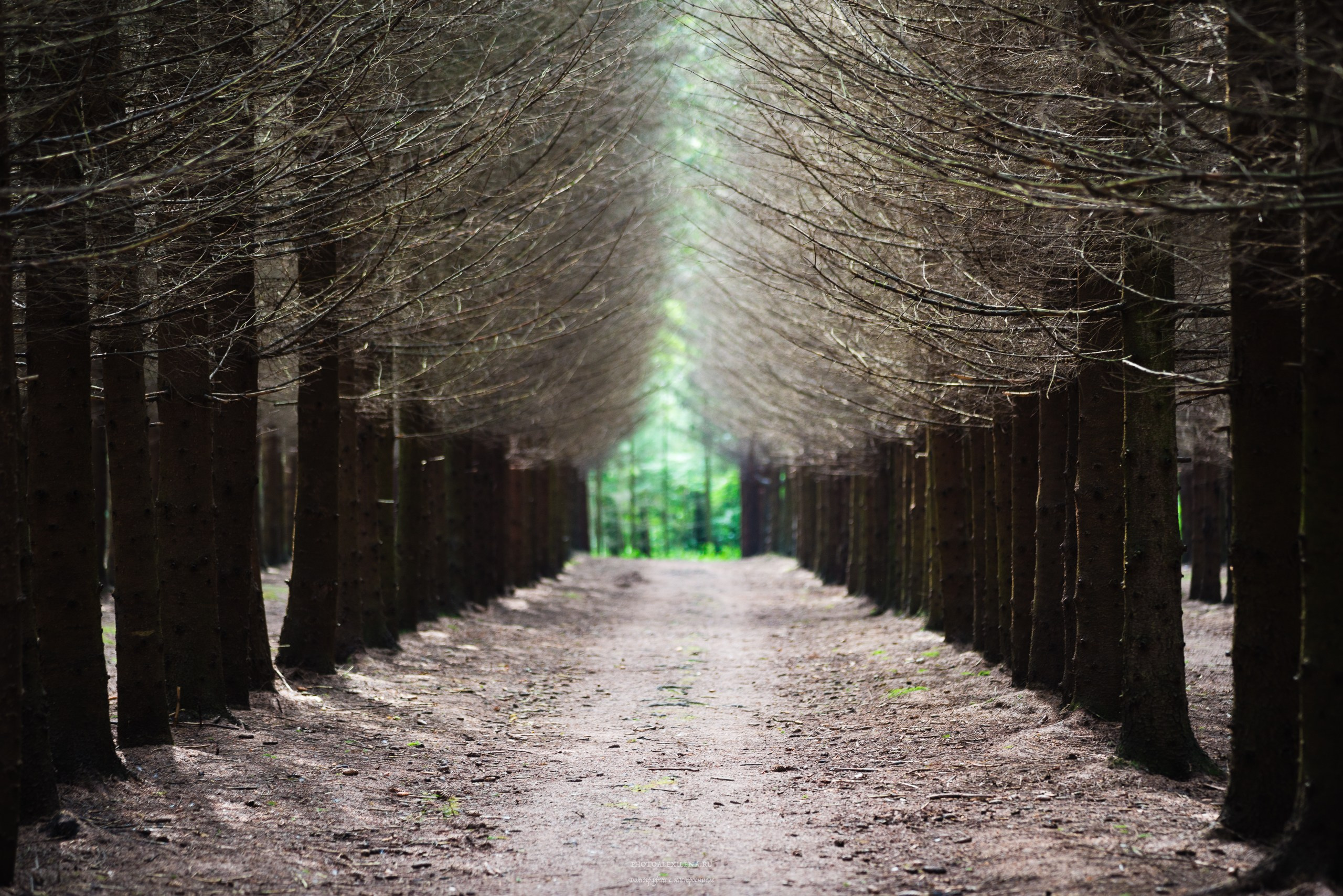 Пути, дороги…. Авторские стильные фотокартины