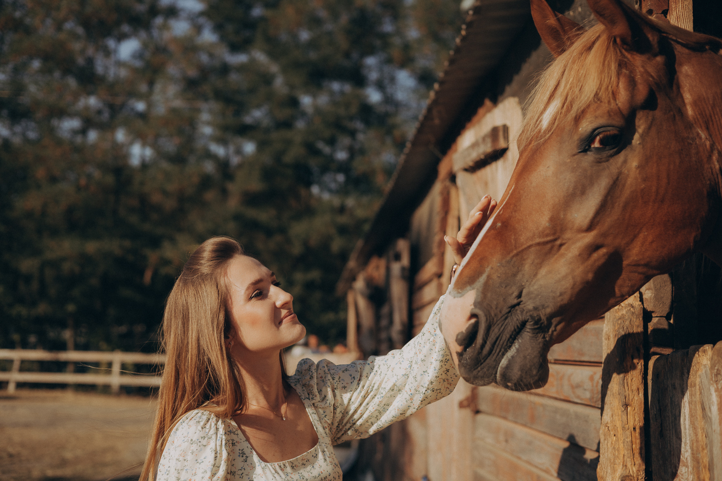 Лошадиная ферма. Семейный и свадебный фотограф в Краснодаре Елизавета Замаева
