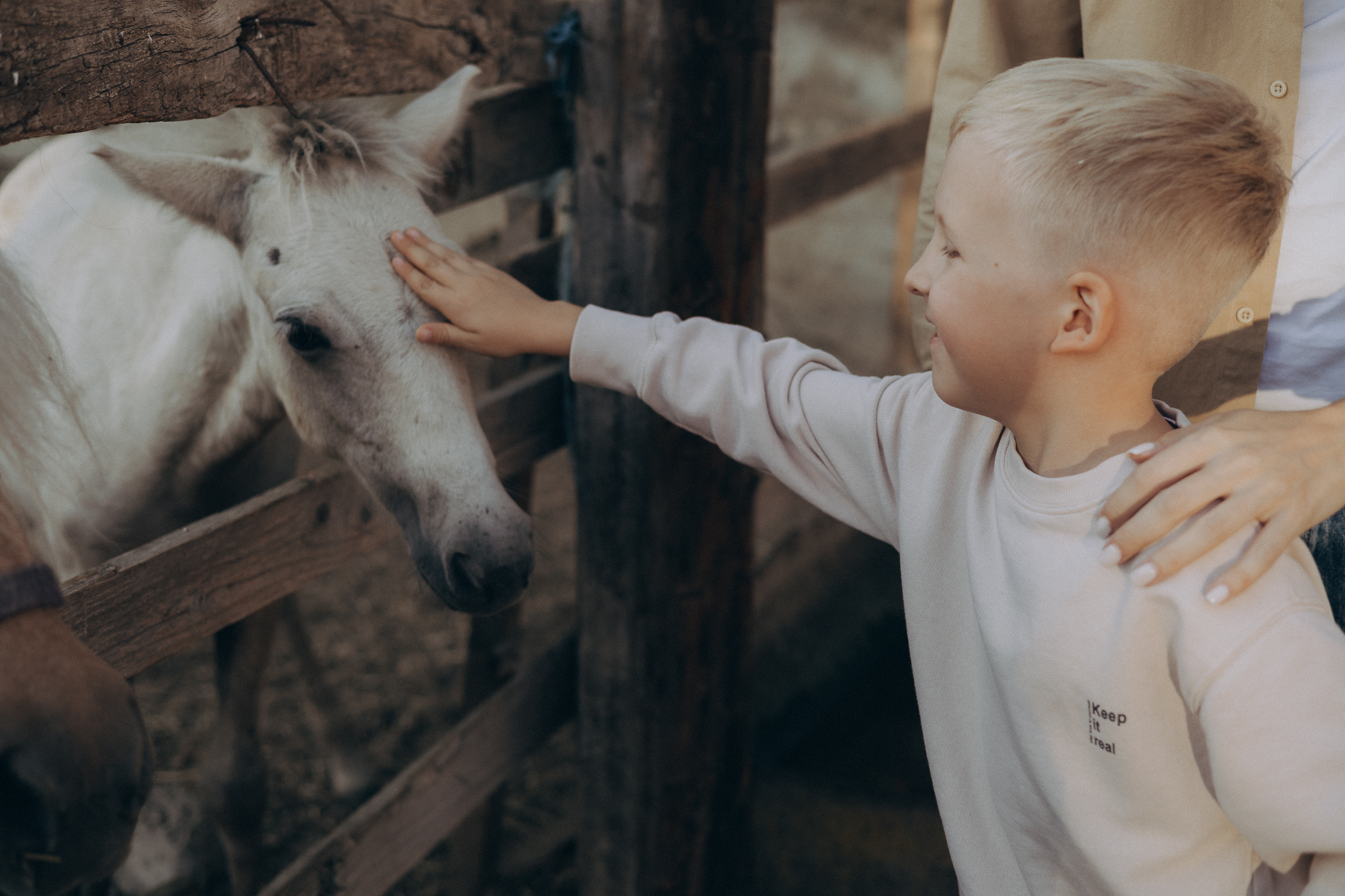 Лошадиная ферма. Семейный и свадебный фотограф в Краснодаре Елизавета Замаева