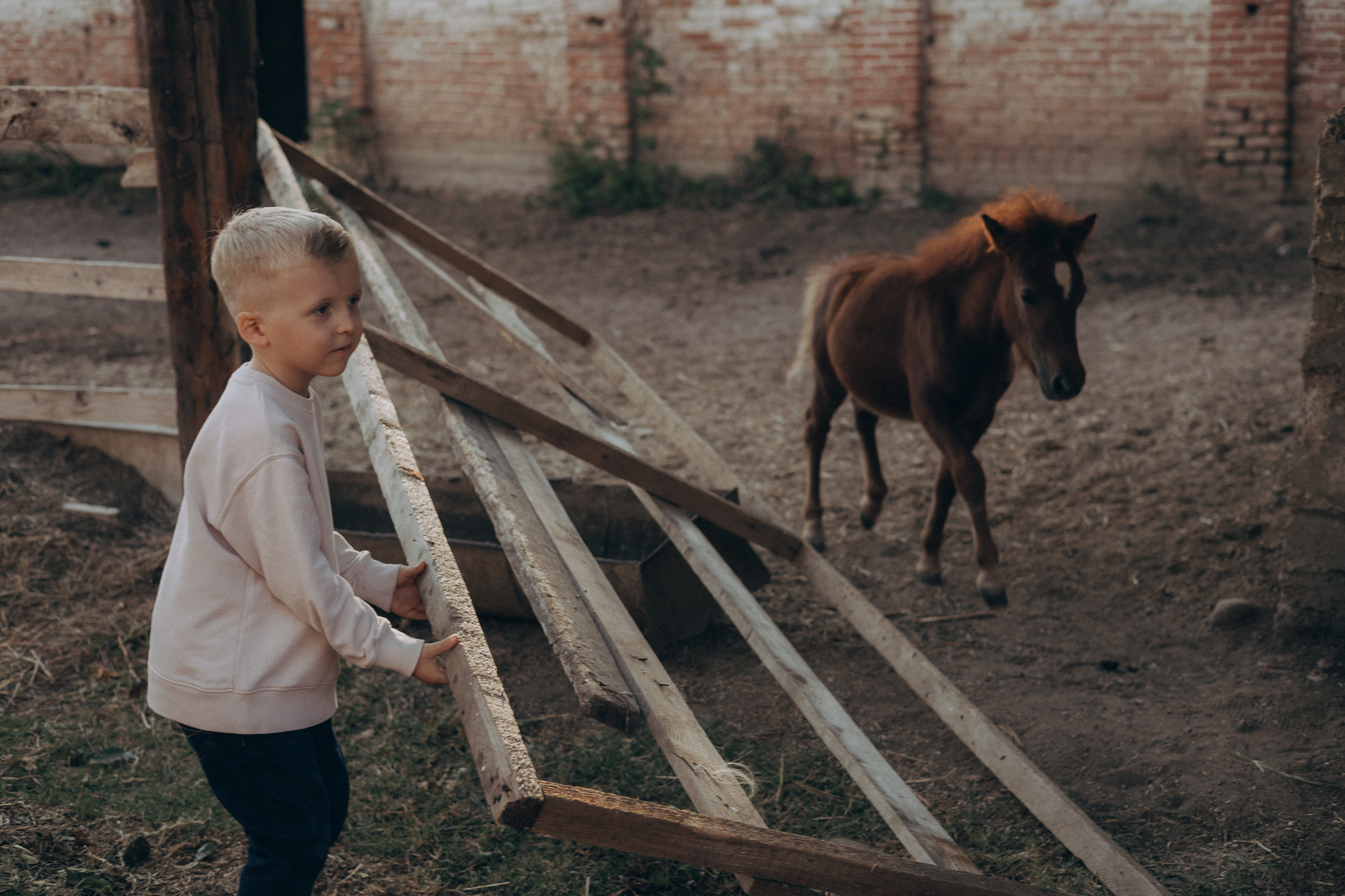 Лошадиная ферма. Семейный и свадебный фотограф в Краснодаре Елизавета Замаева