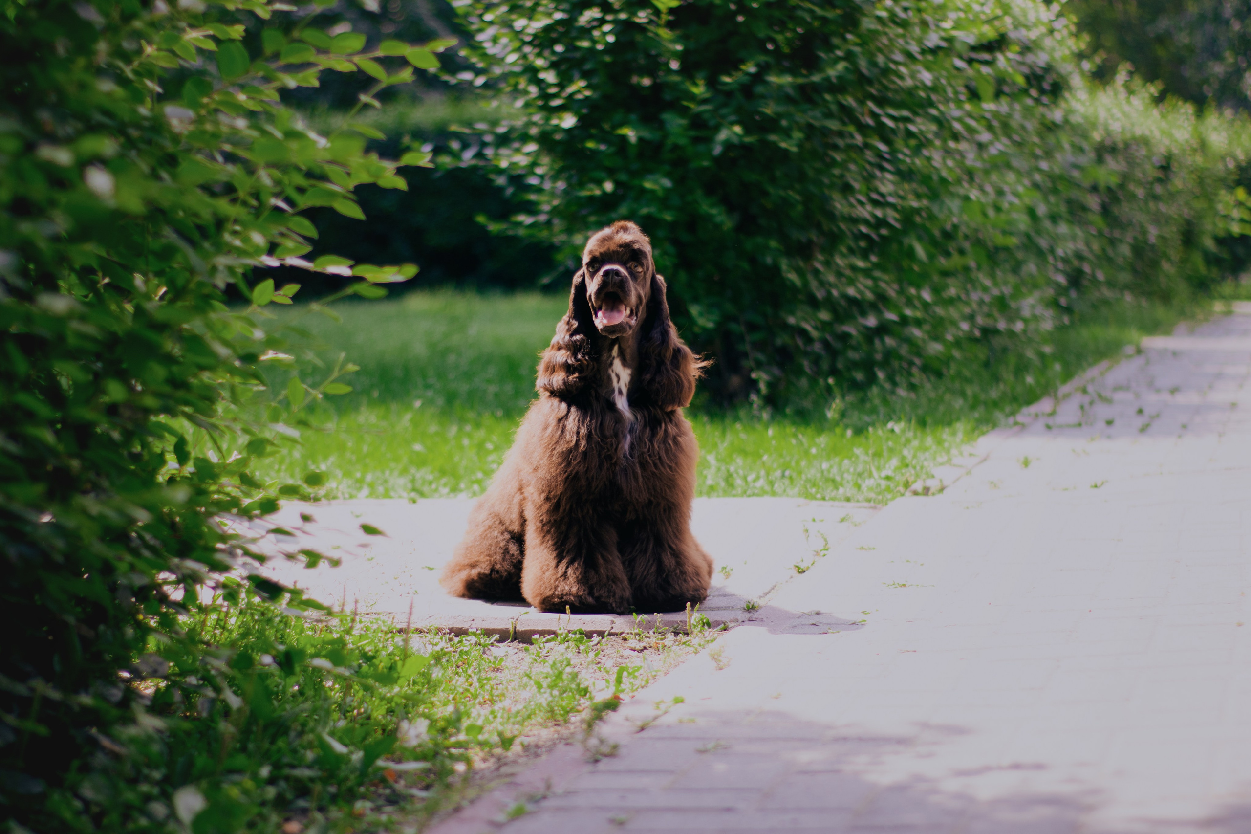 Лера и Анри. Фотограф в Тюмени Лизавета Сапицкая