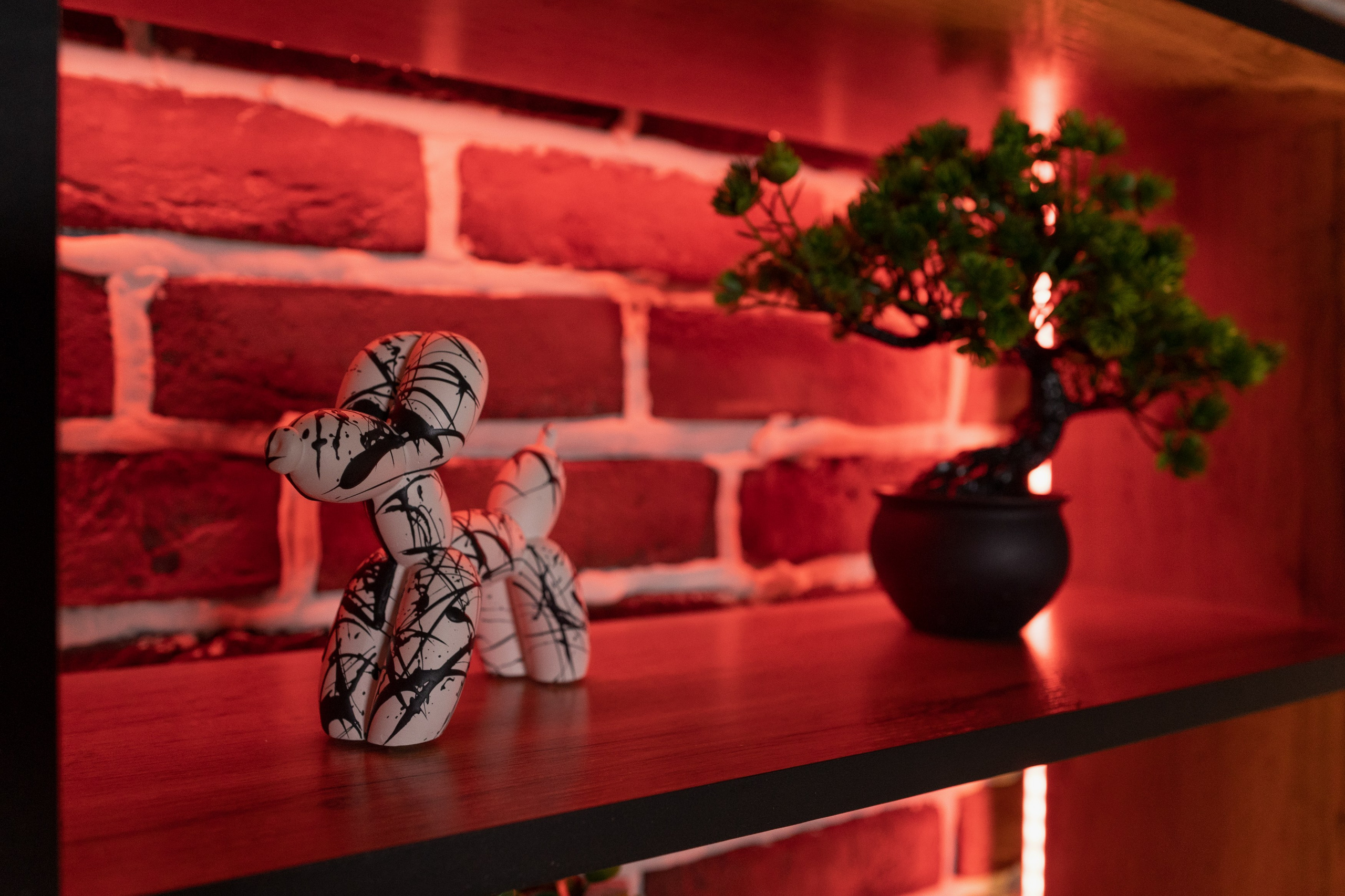 LOFT. Подкасты и прямые эфиры Сочи