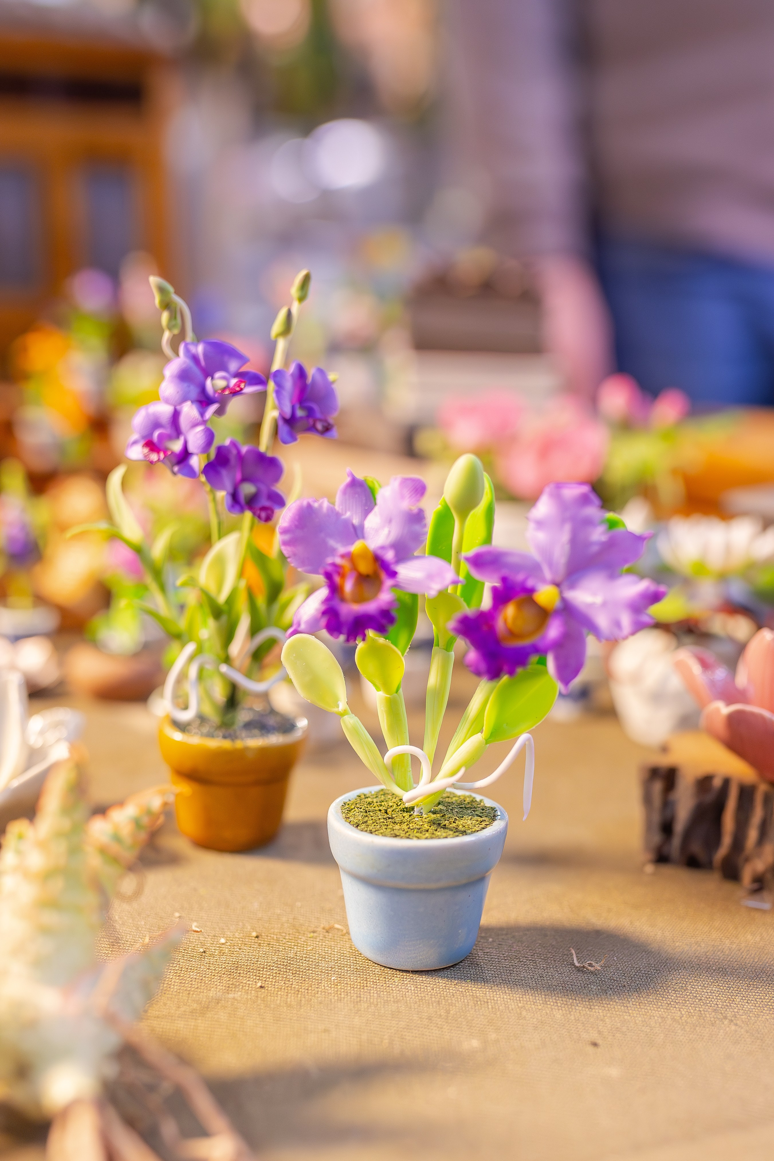Монстериум апрель 2026. Александра Куликова фотограф, Москва