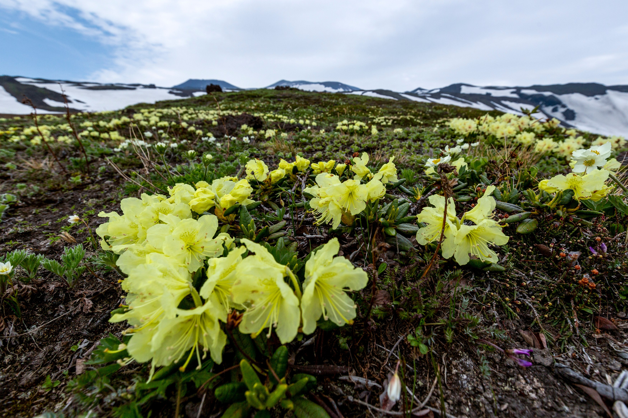 Научно-популярная Камчатка. Время Камчатки: чтобы найти свой путь, нужно скорость умножить на время
