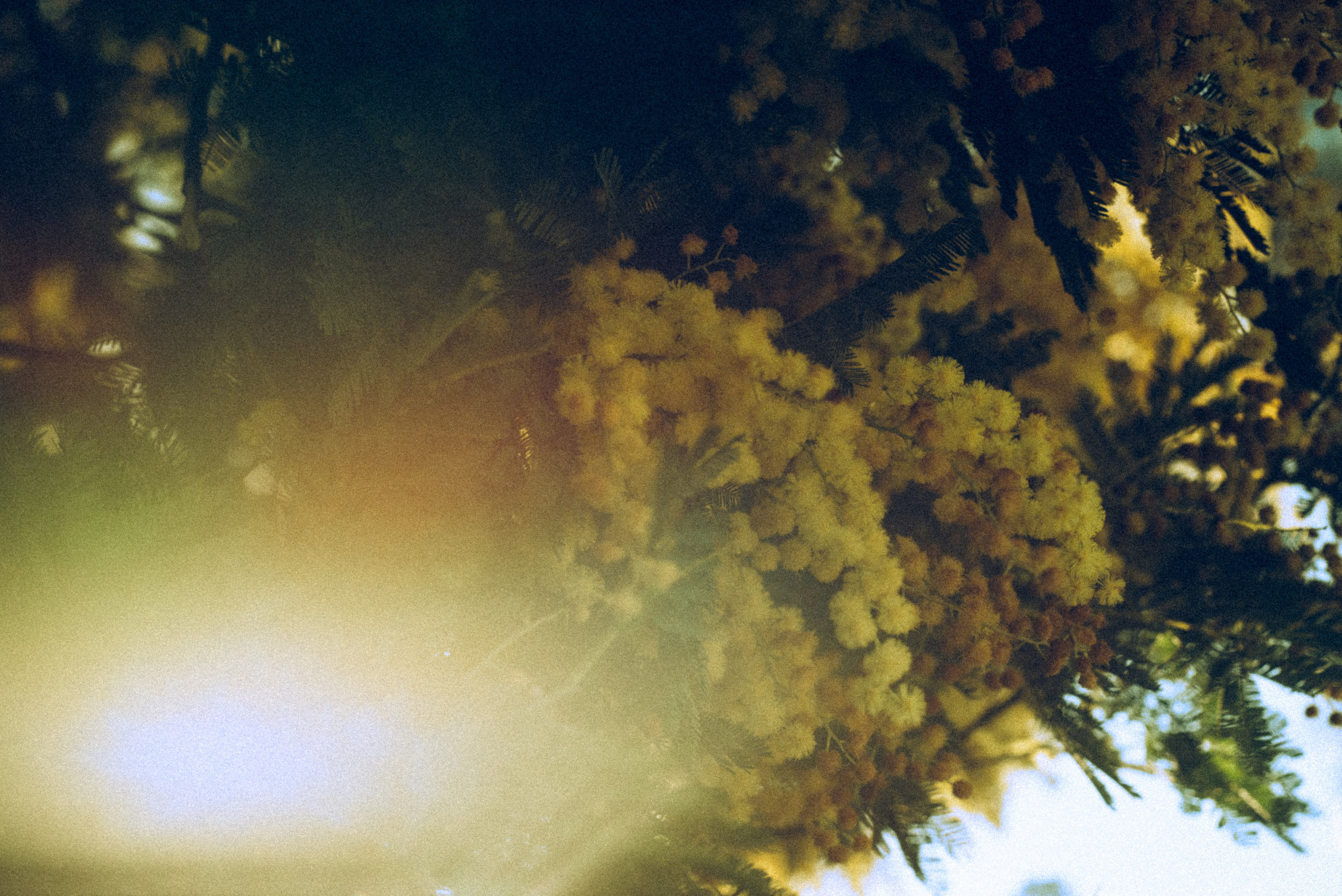 Батуми, Грузия🇬🇪. Anita_photo