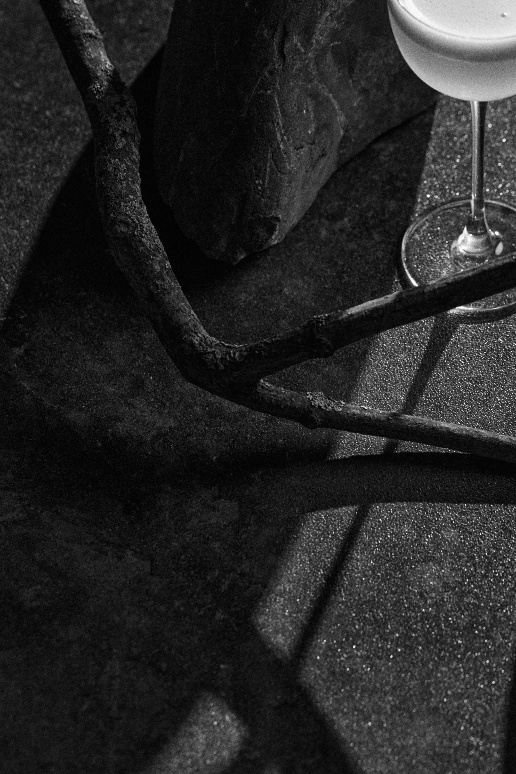 РЕСТОРАНЫ. Контент фотограф в Москве Ник Фрост