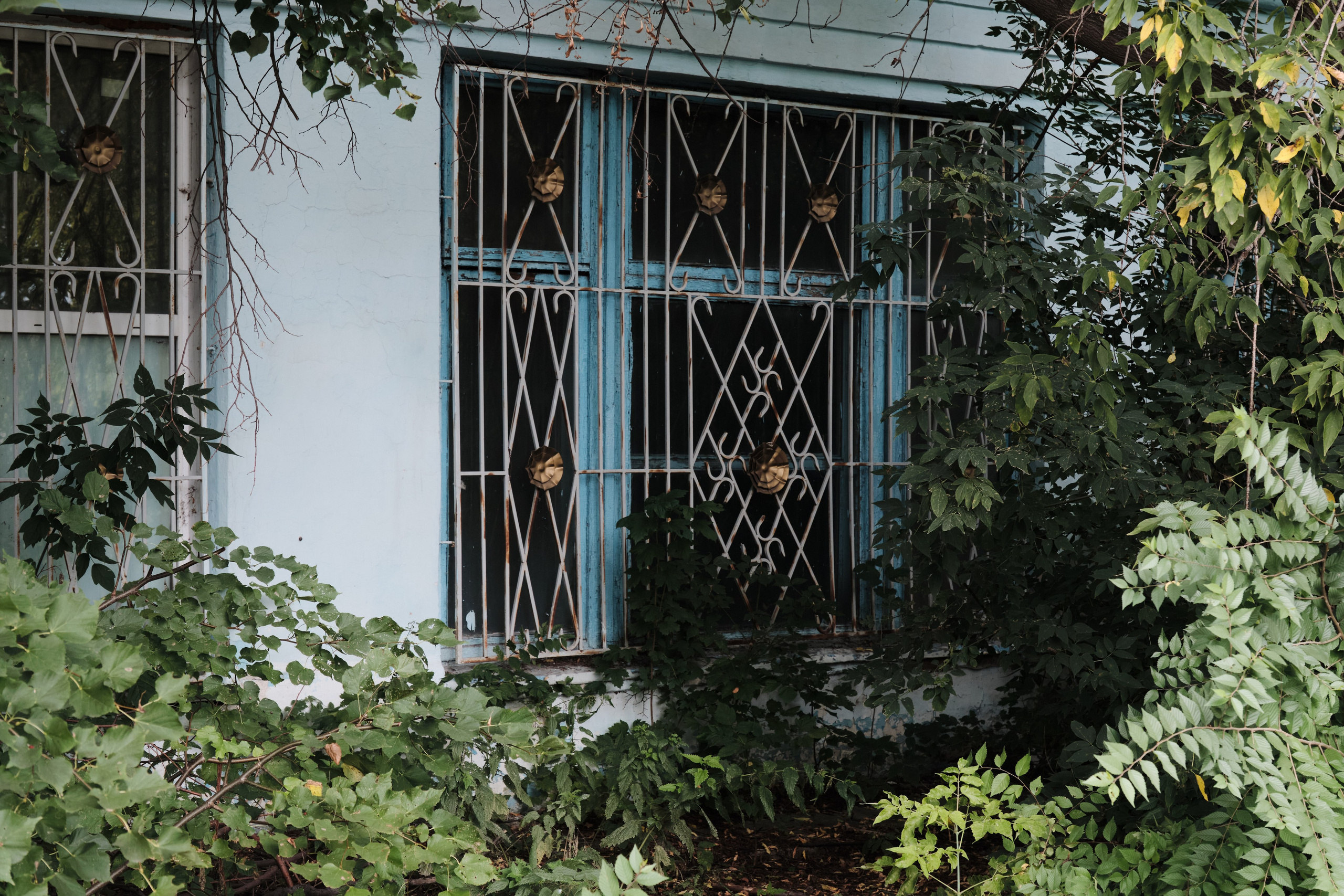 Колывань. Goncharov Tim