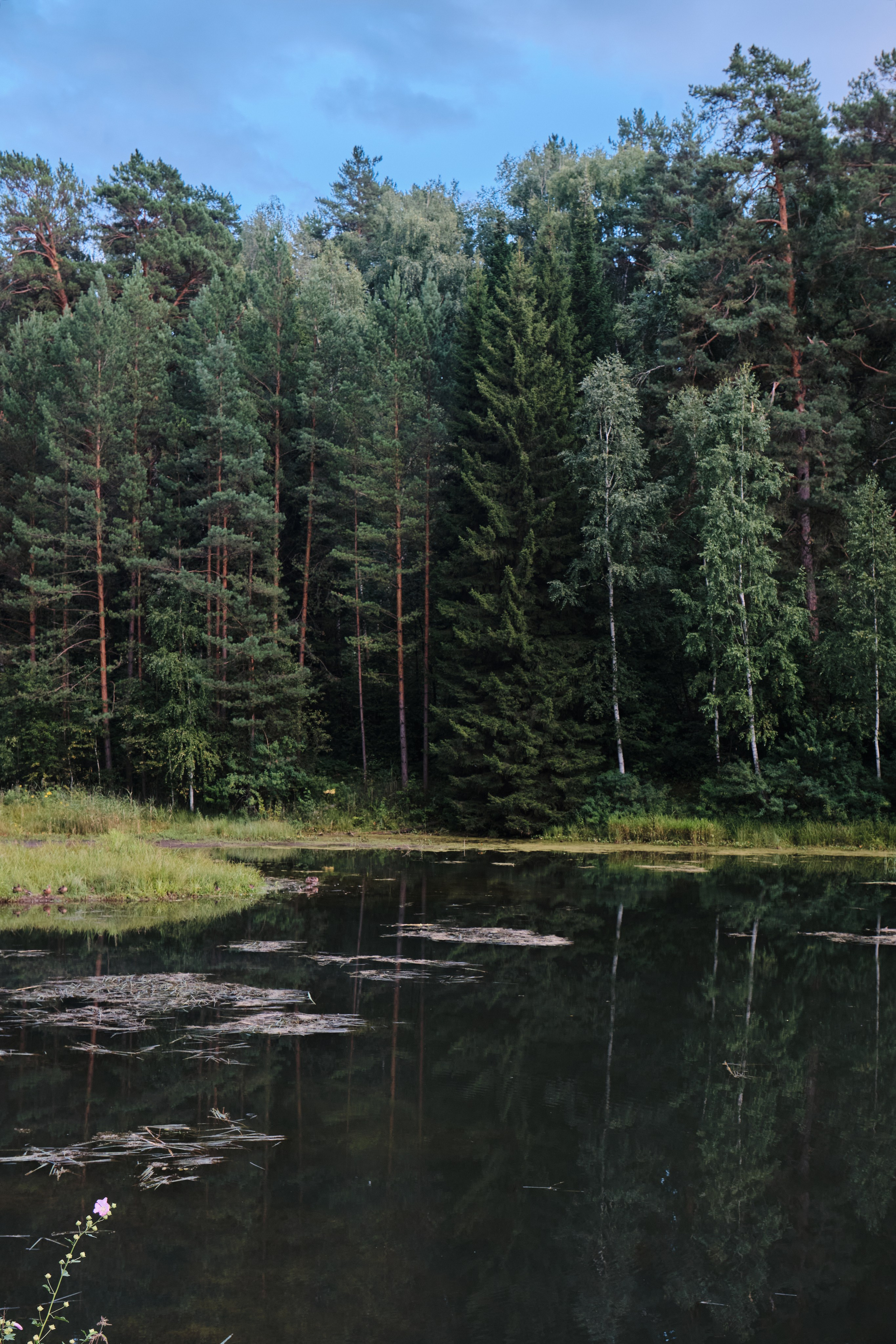 Академ-городок и ботанический сад. Goncharov Tim