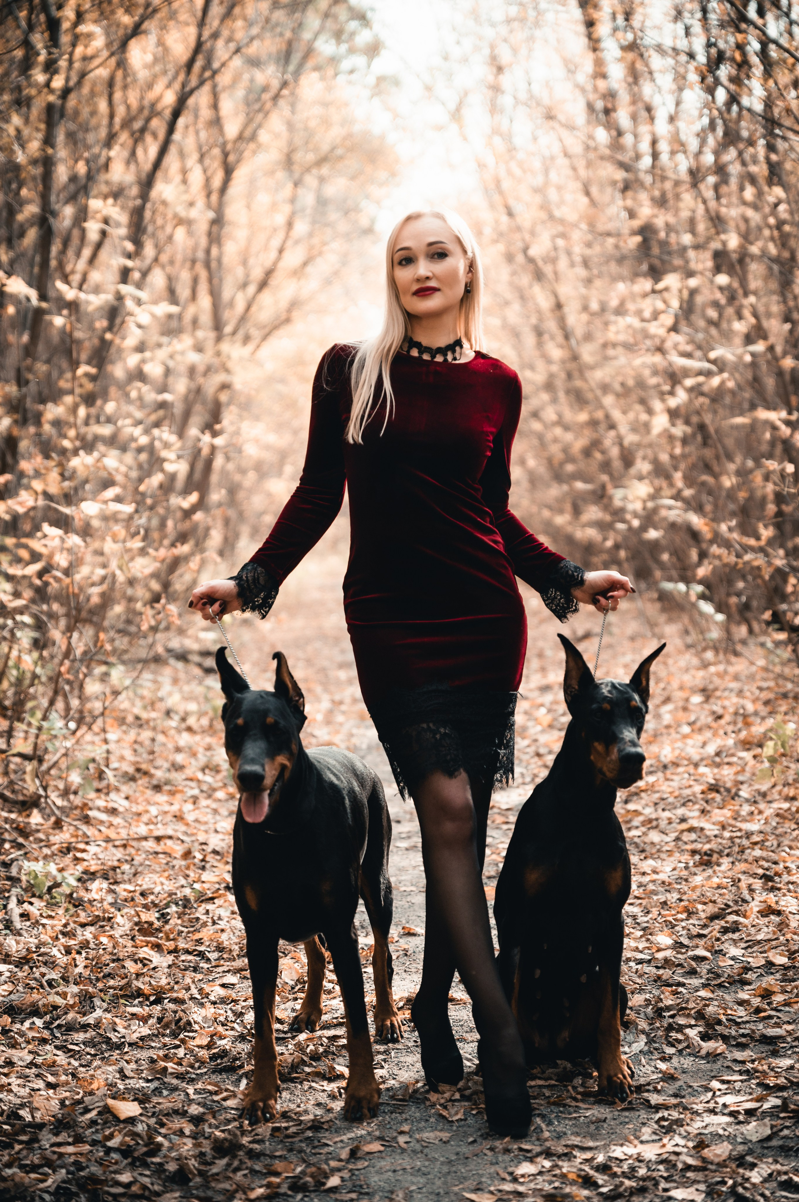 Съемка с доберманами. Фотограф в Новосибирске