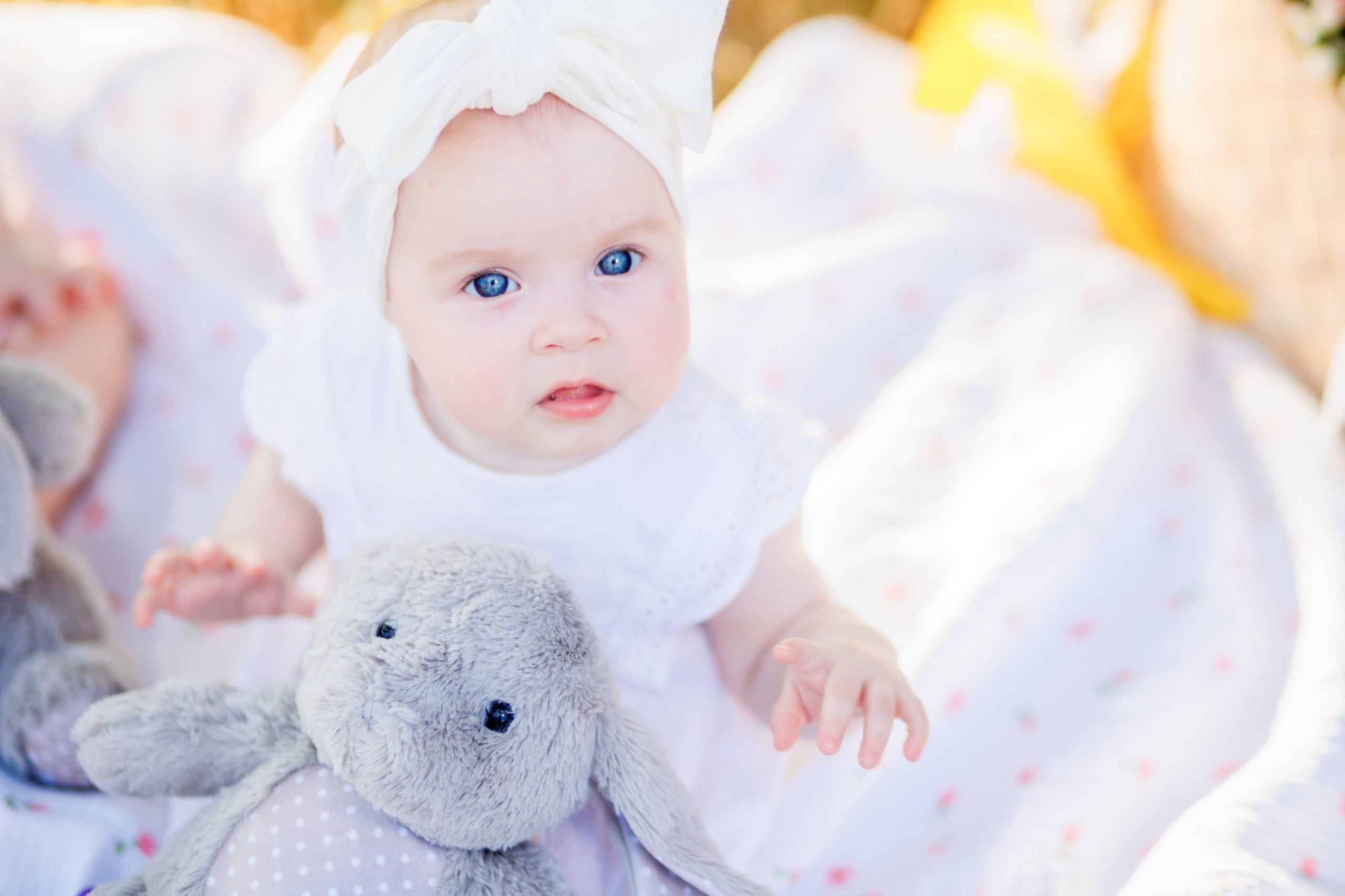 Прогулка на природе. Свадебный и семейный фотограф в Армавире