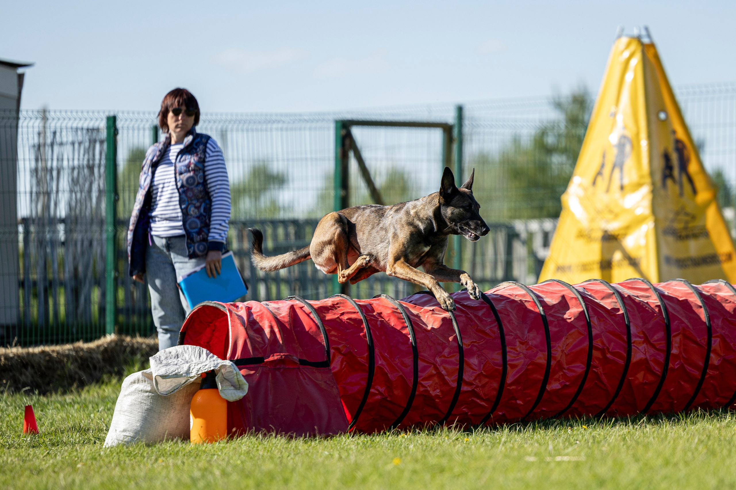Испытания по мондьорингу в Нижнем Новгороде. Фотограф-анималист Анна Маринич