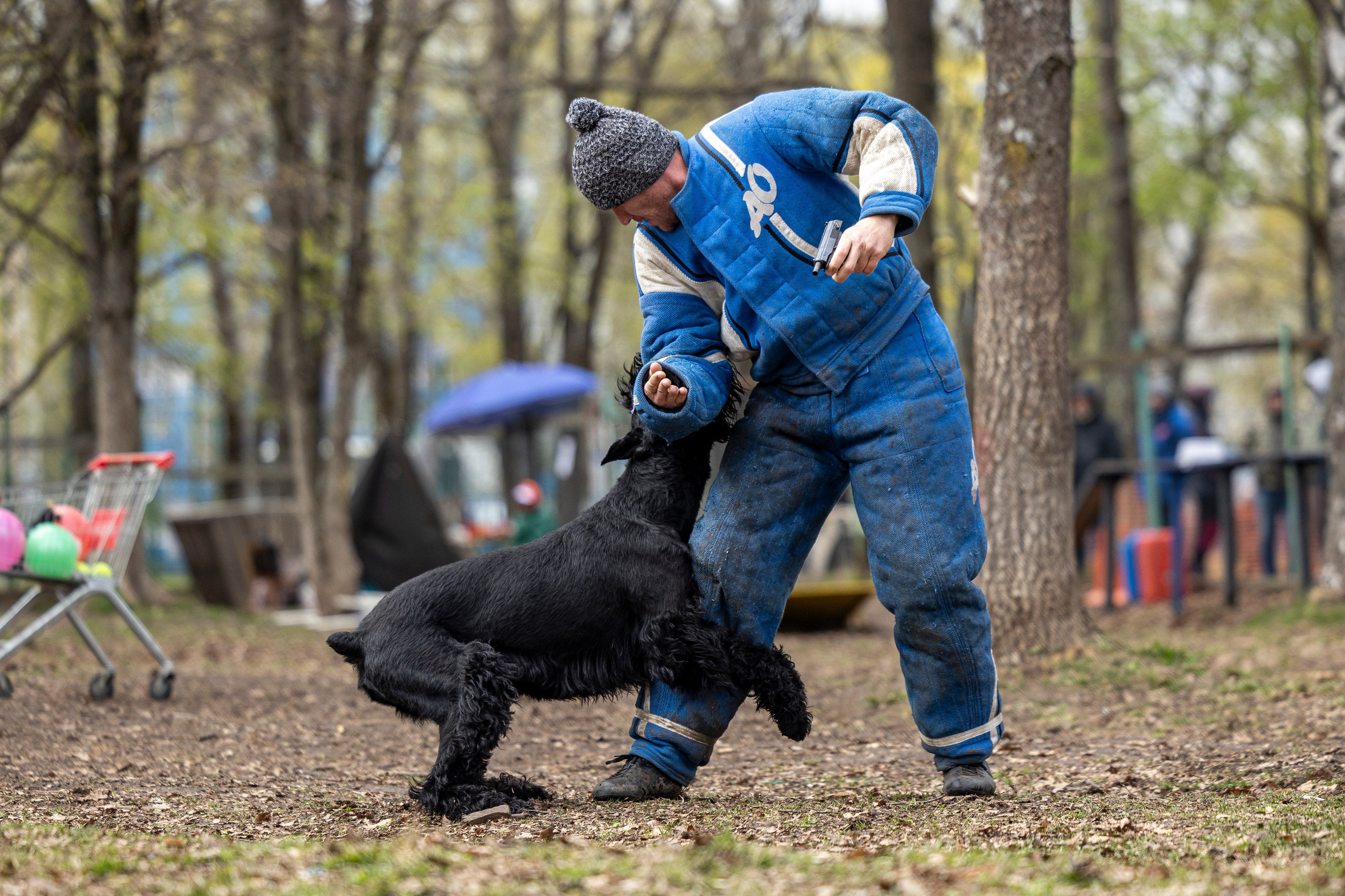 Квалификационные состязания по мондьорингу г. Вологда 11.05.24. Фотограф-анималист Анна Маринич