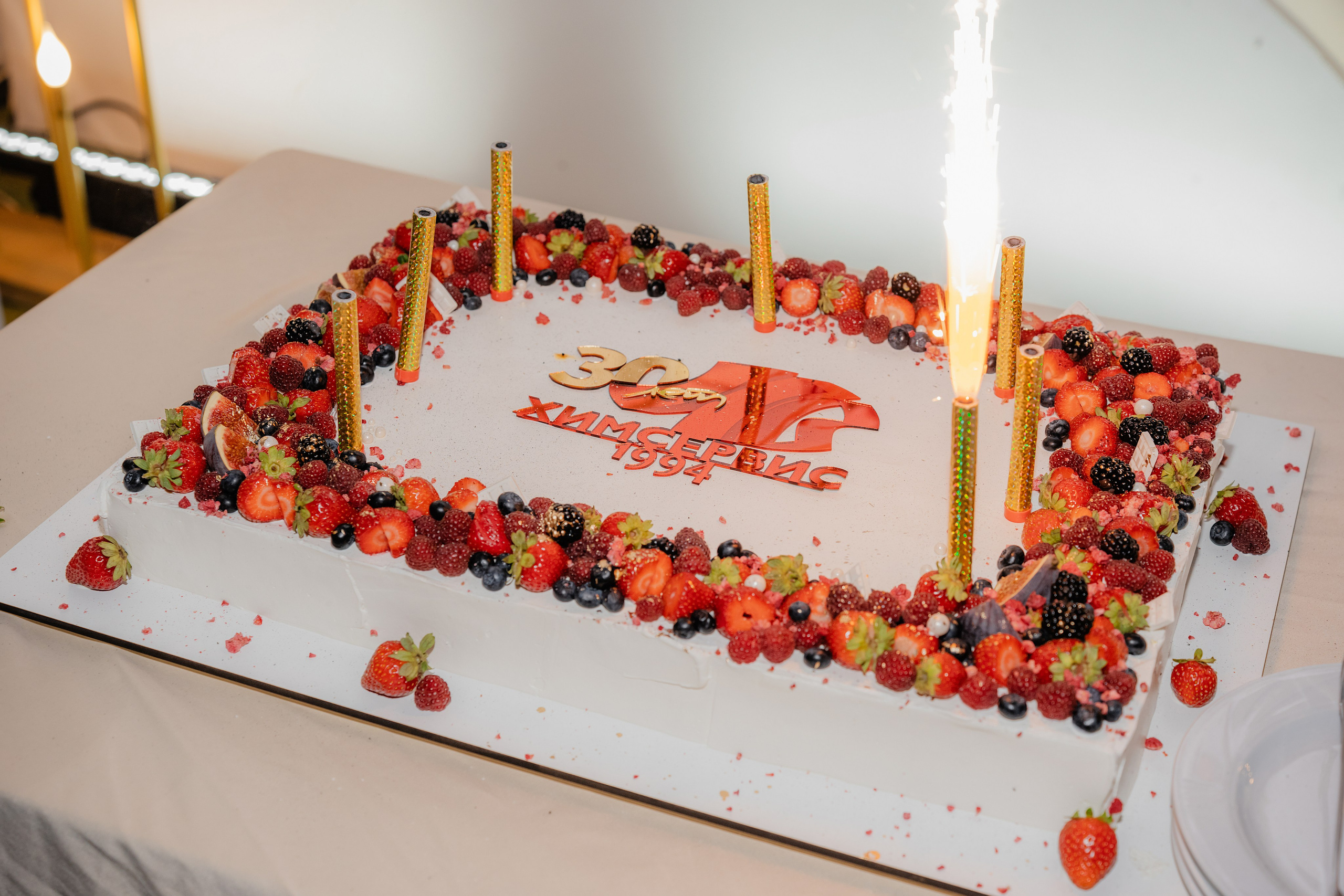 ООО «Химсервис» 30 лет. Фотограф в Туле и области Константин Гудовичев