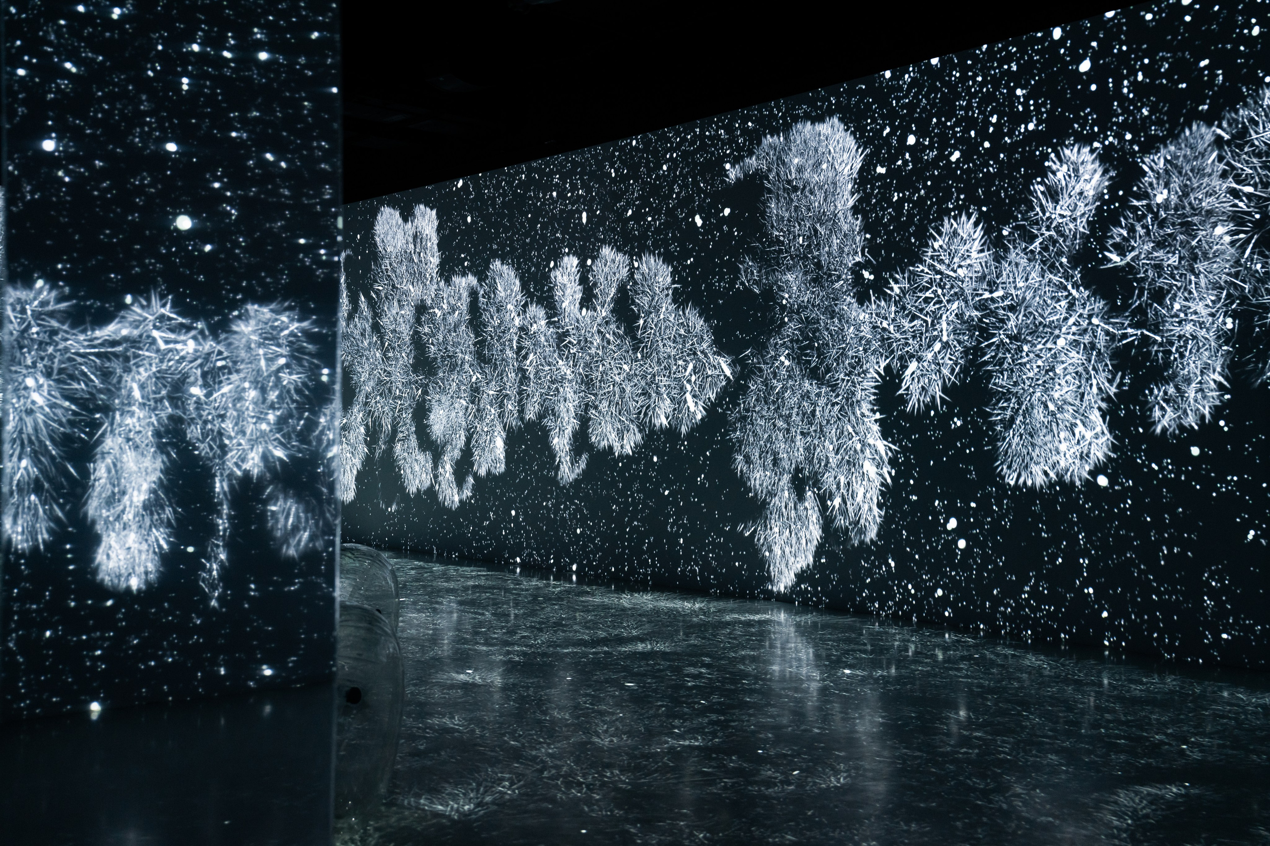 Generative Gallery & Luminar X, Making Magic. @tomrus: Рустам Шагиморданов — фотограф