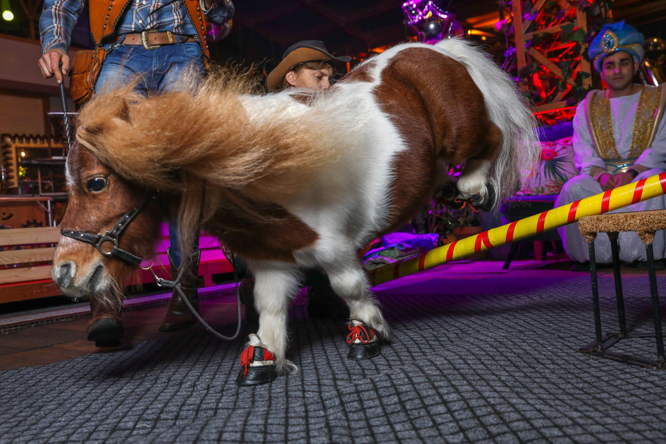Полина 5 лет. Дима Колес / фото и видео съёмка в Москве