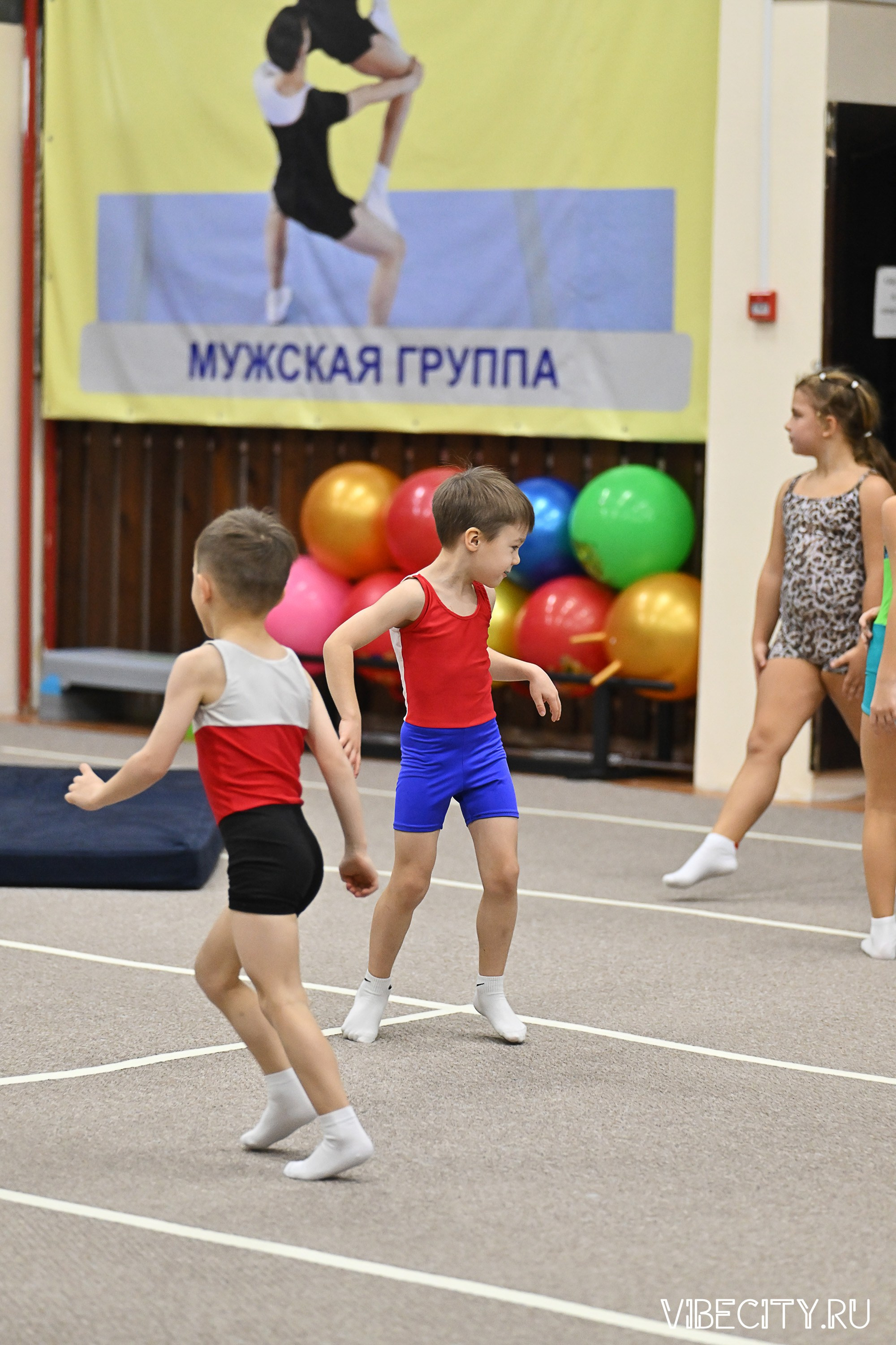 Контрольная тренировка по спортивной гимнастике. VIBECITY.RU Вайб Сити Ру Фоторепортажи Фотоотчеты Калининград