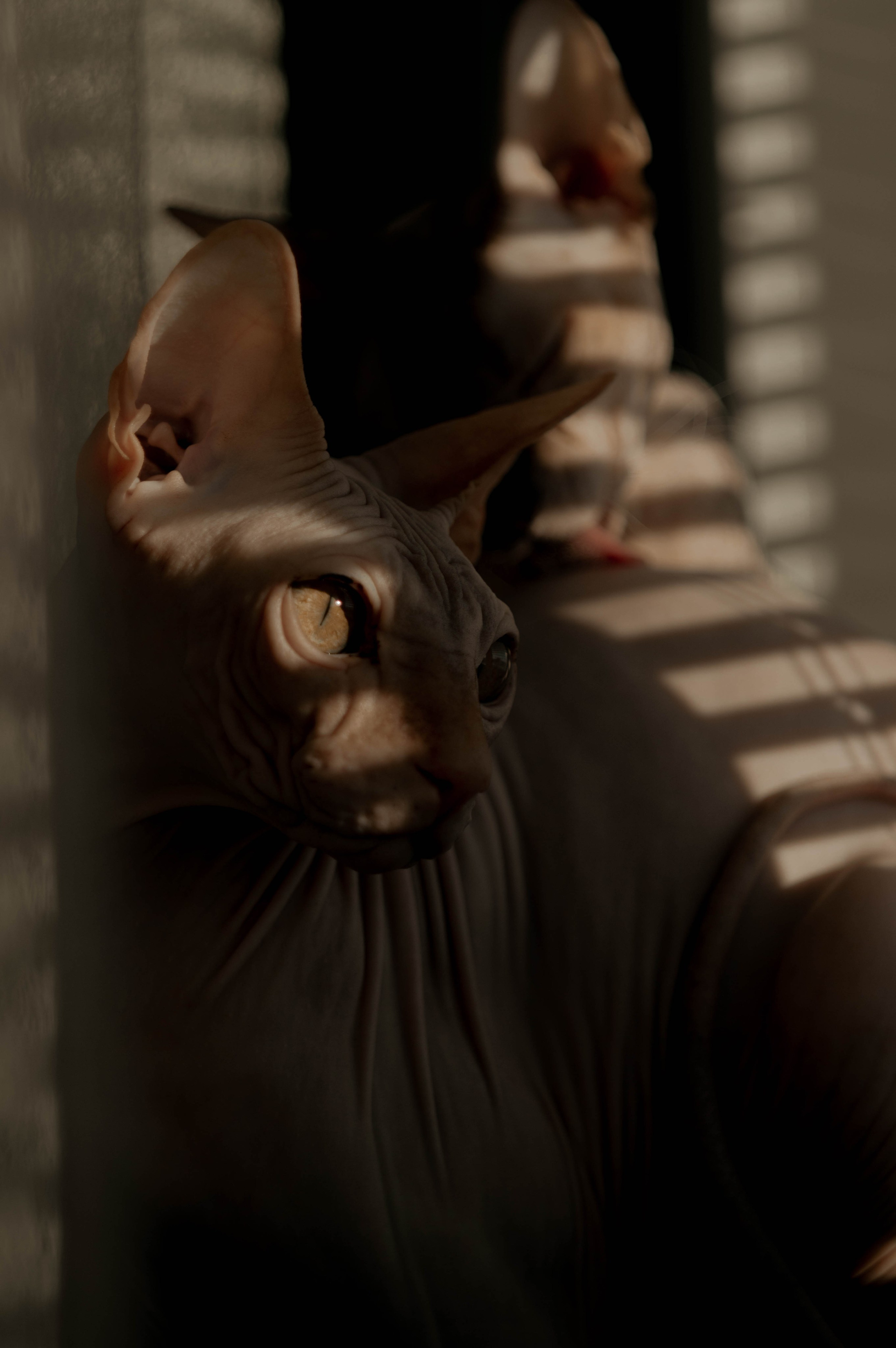 Без людей. Фотограф Крутой Максим