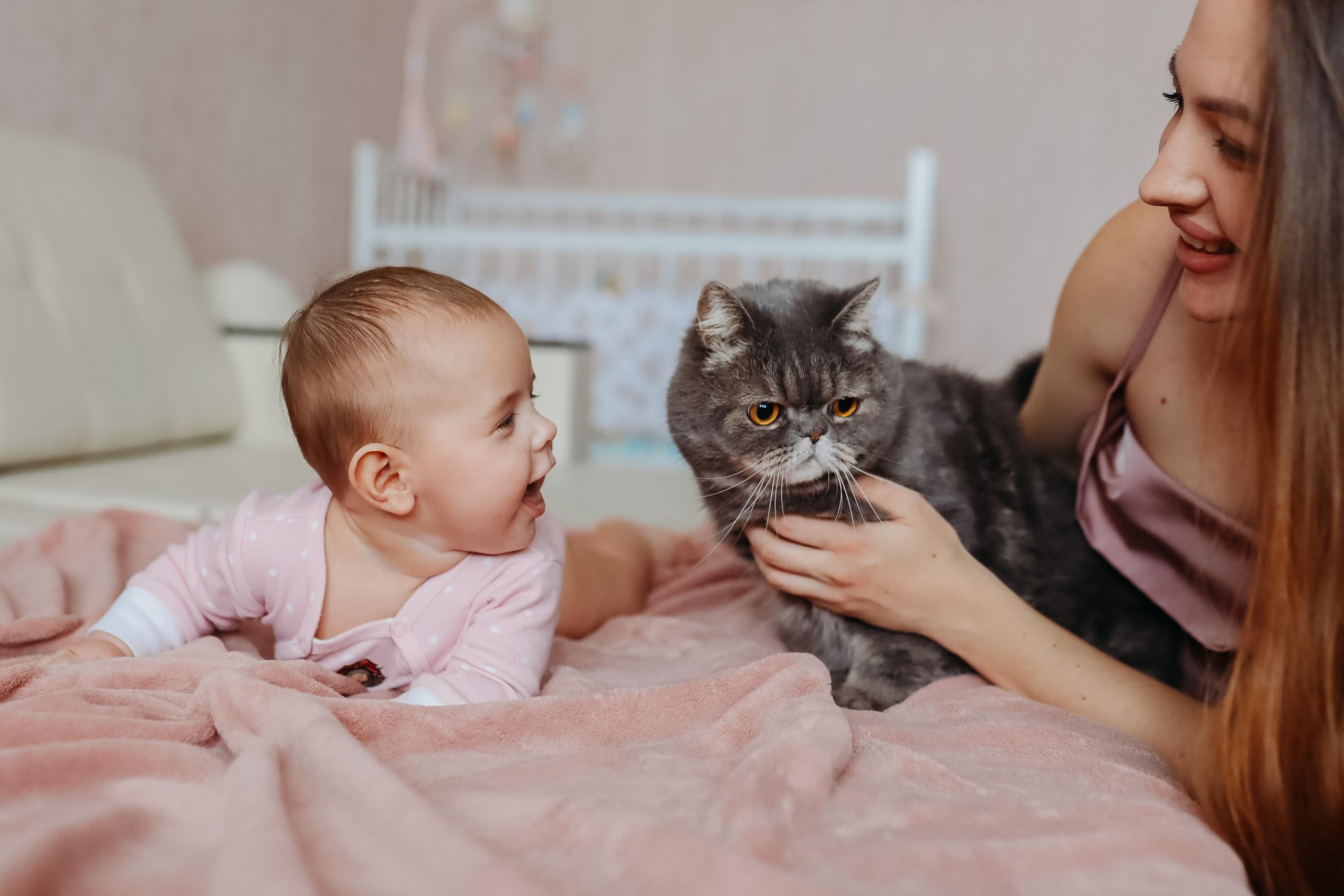 Домашние фотосессии. Доула. Курс подготовки к родам. Перинатльный фотограф г. Оренбург