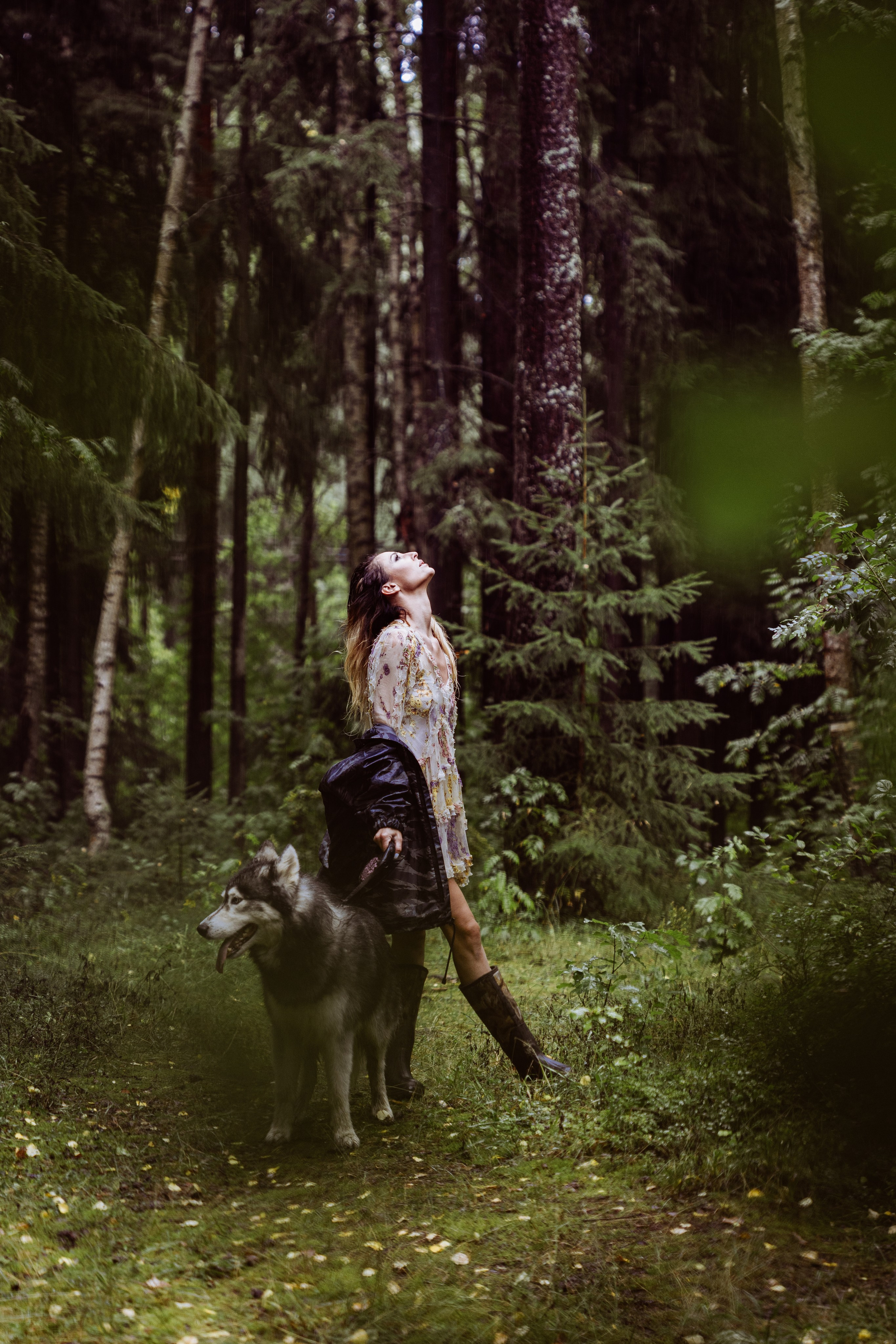 Фотосессии с животными. Добродеева Алла фотограф, Москва