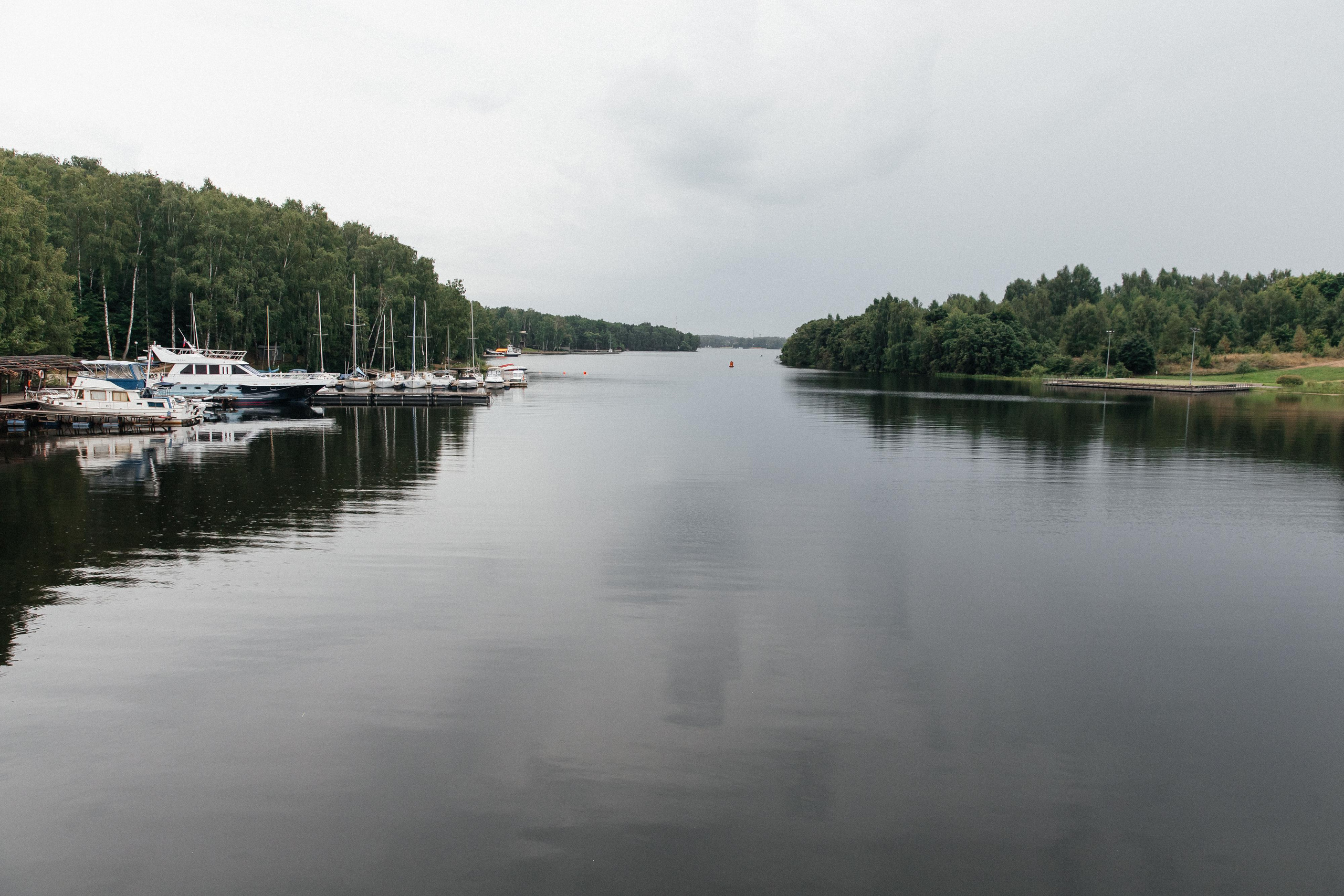 Forest, wedding, rock’n'roll. Свадебный и репортажный фотограф