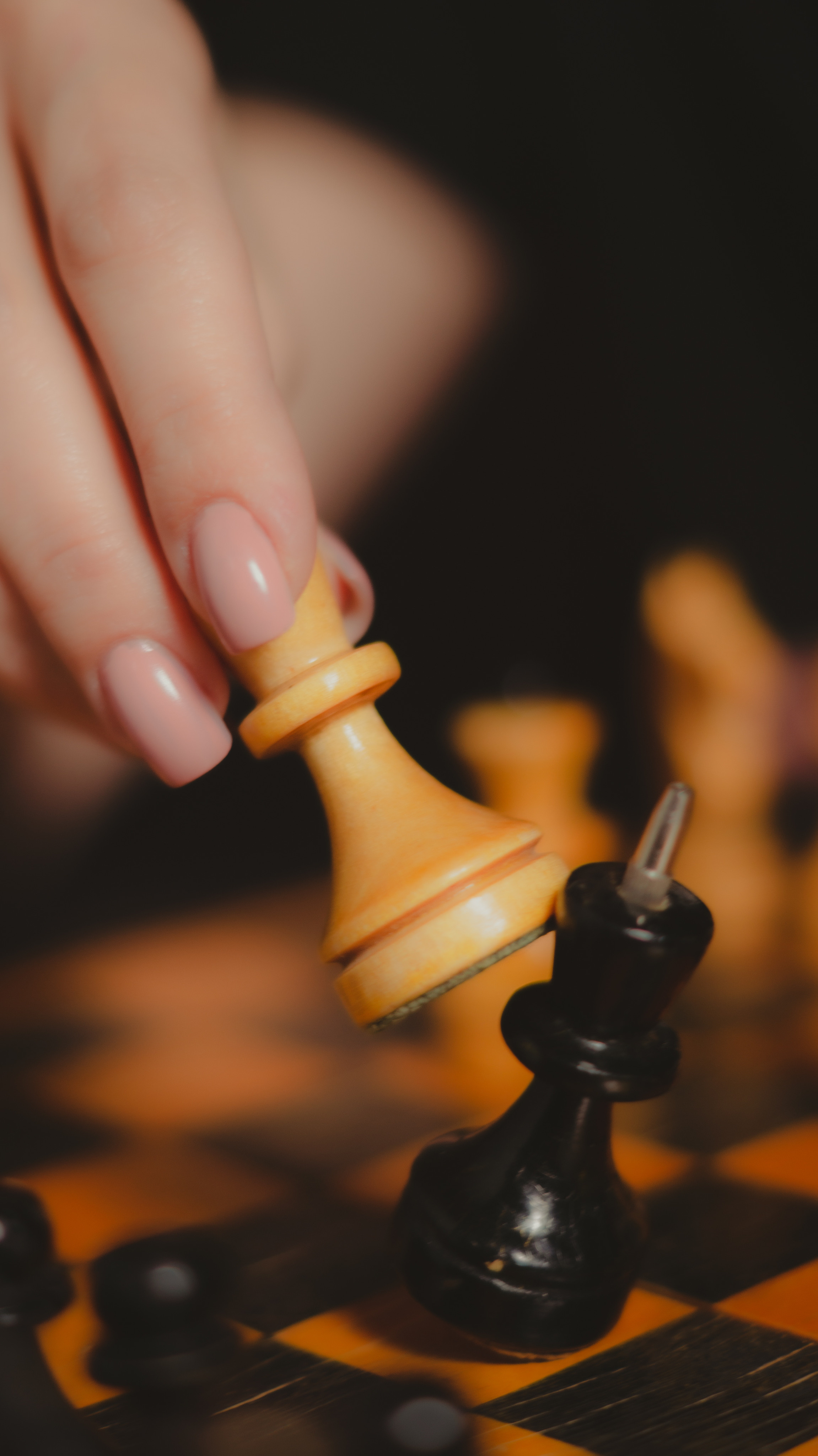 Queen's Gambit. Фотограф в Краснодаре Данил Богданов