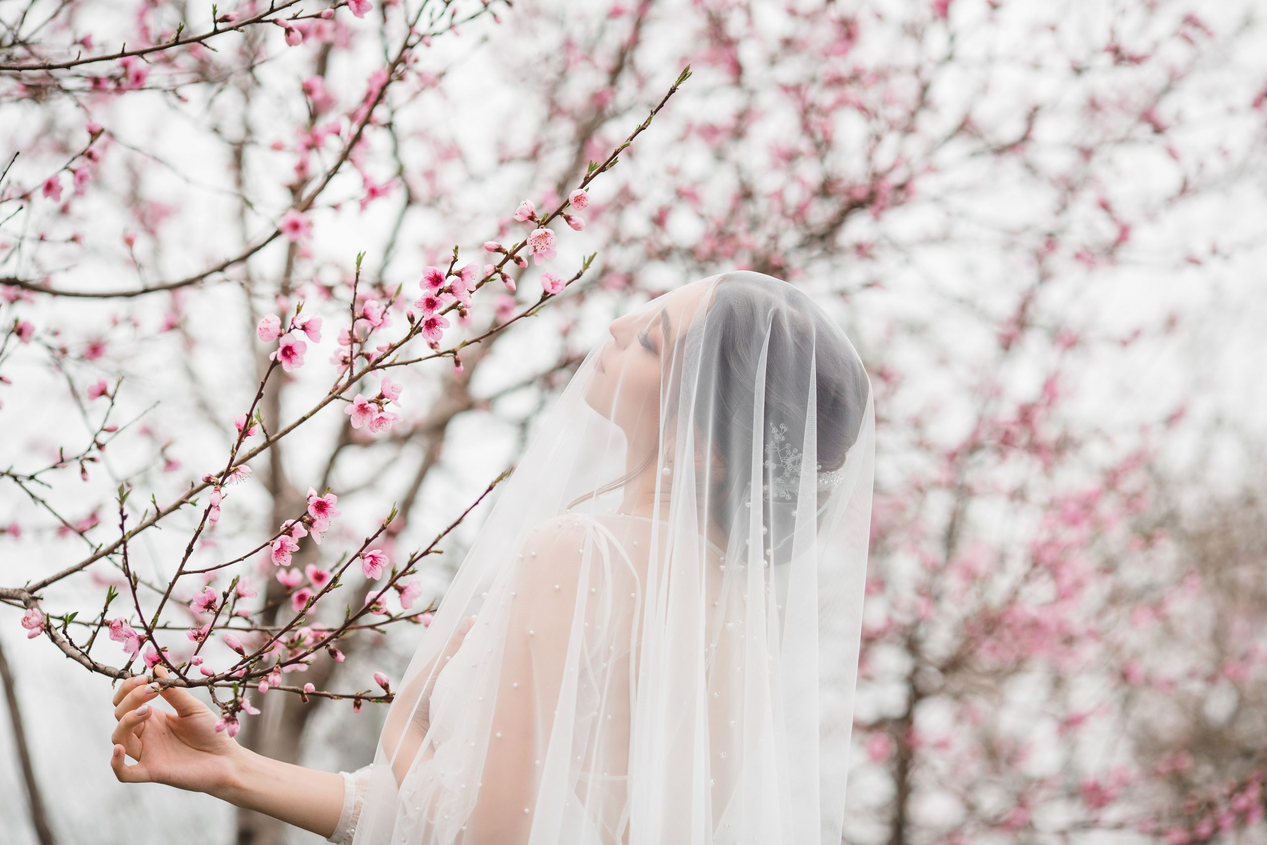 Николай и Аля. Свадебный и семейный фотограф в Краснодаре