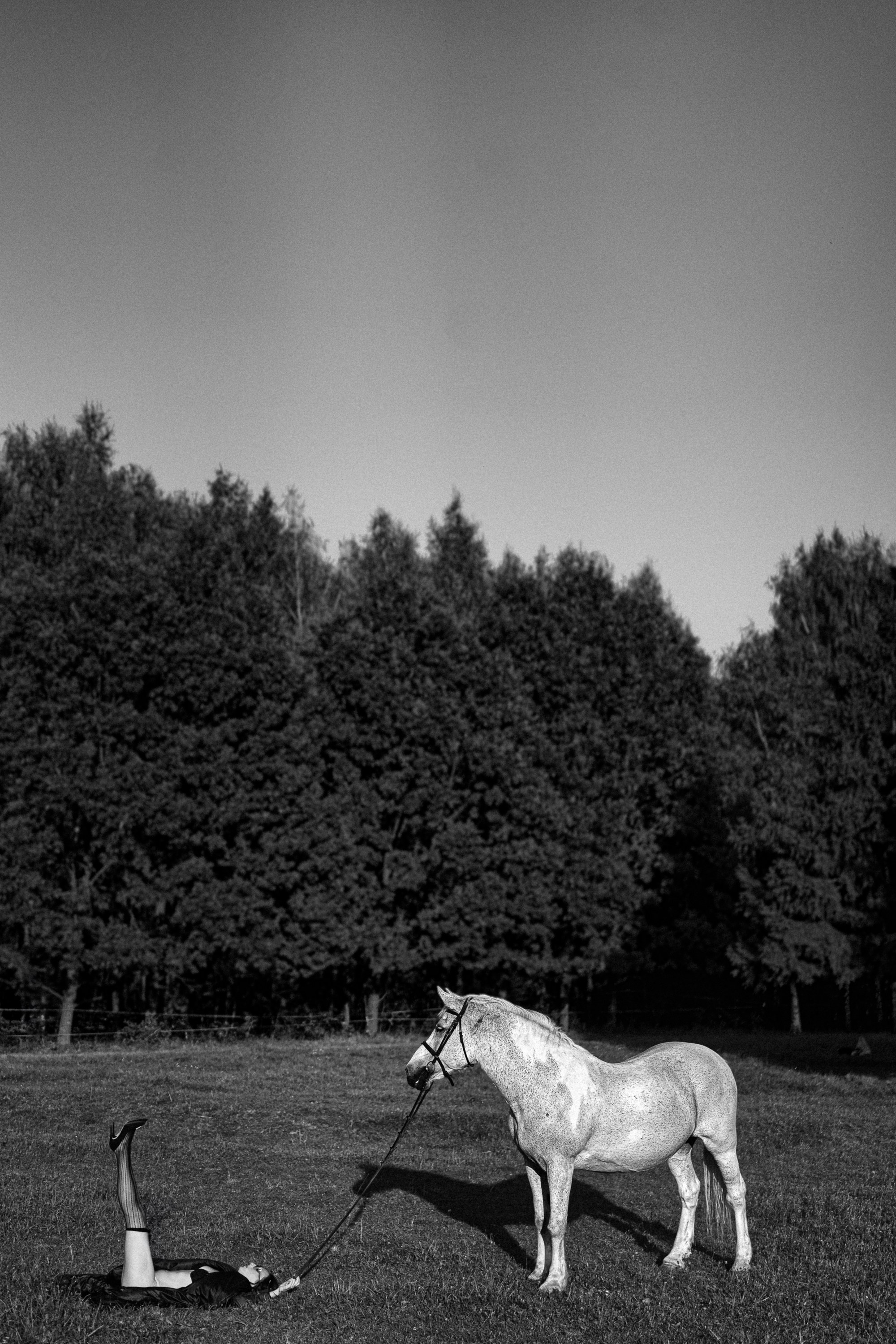 Девушка лежит на поле