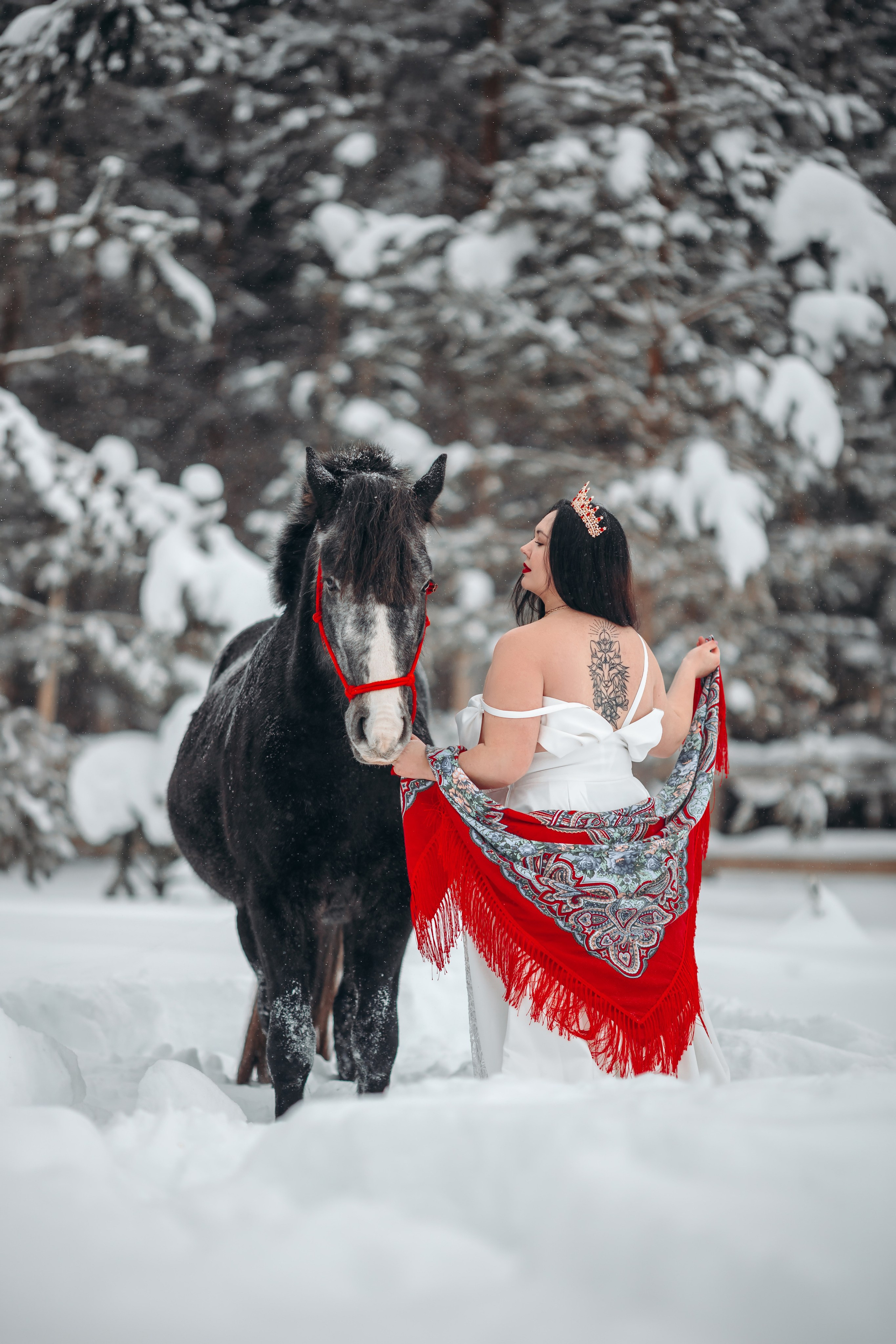 Яблоки на снегу. Анна Молчанова конный фотограф в Тюмени | фотосессии с лошадьми Тюмень