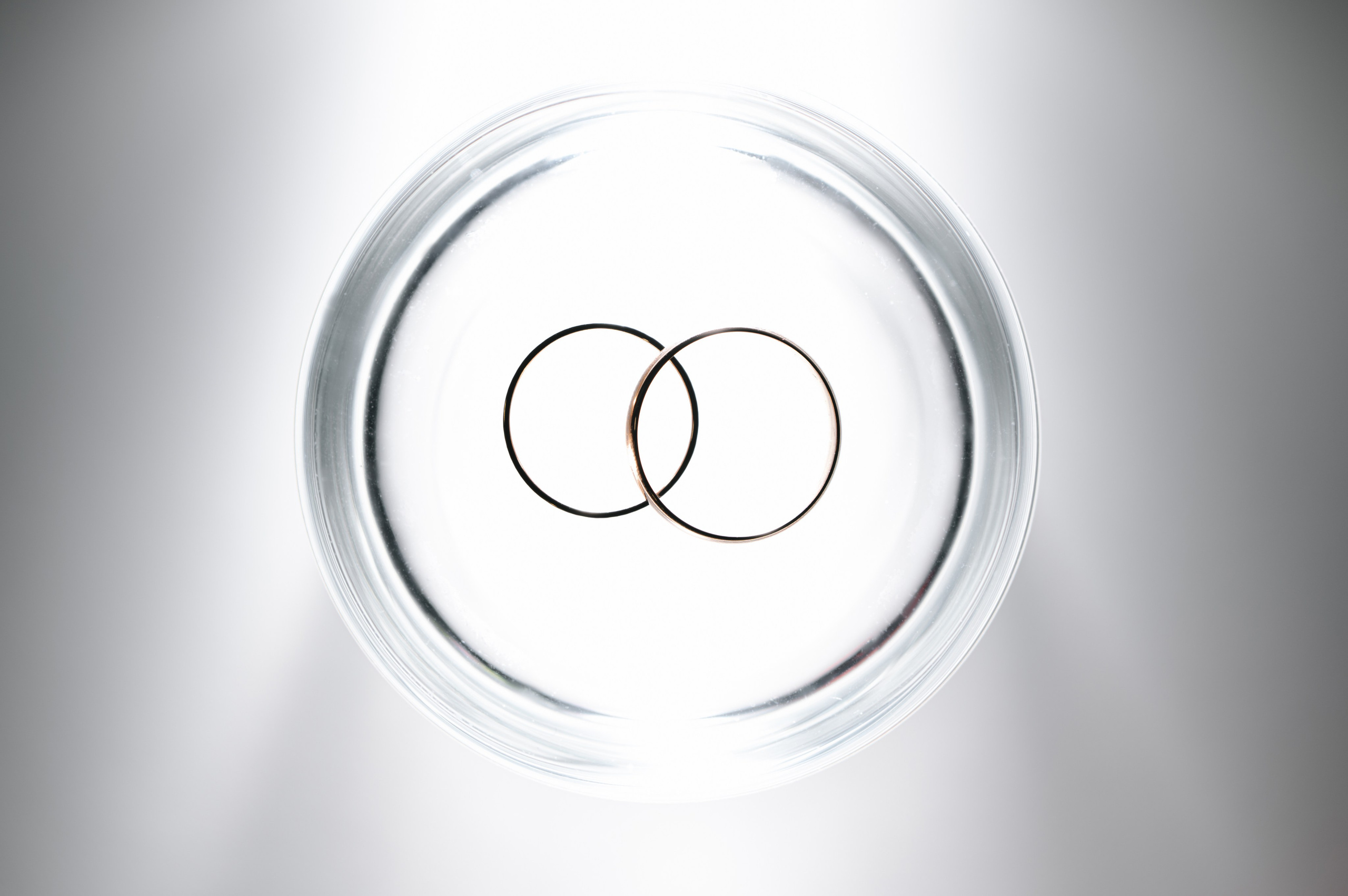 Александр и Аделина. Свадебный фотограф Белгород