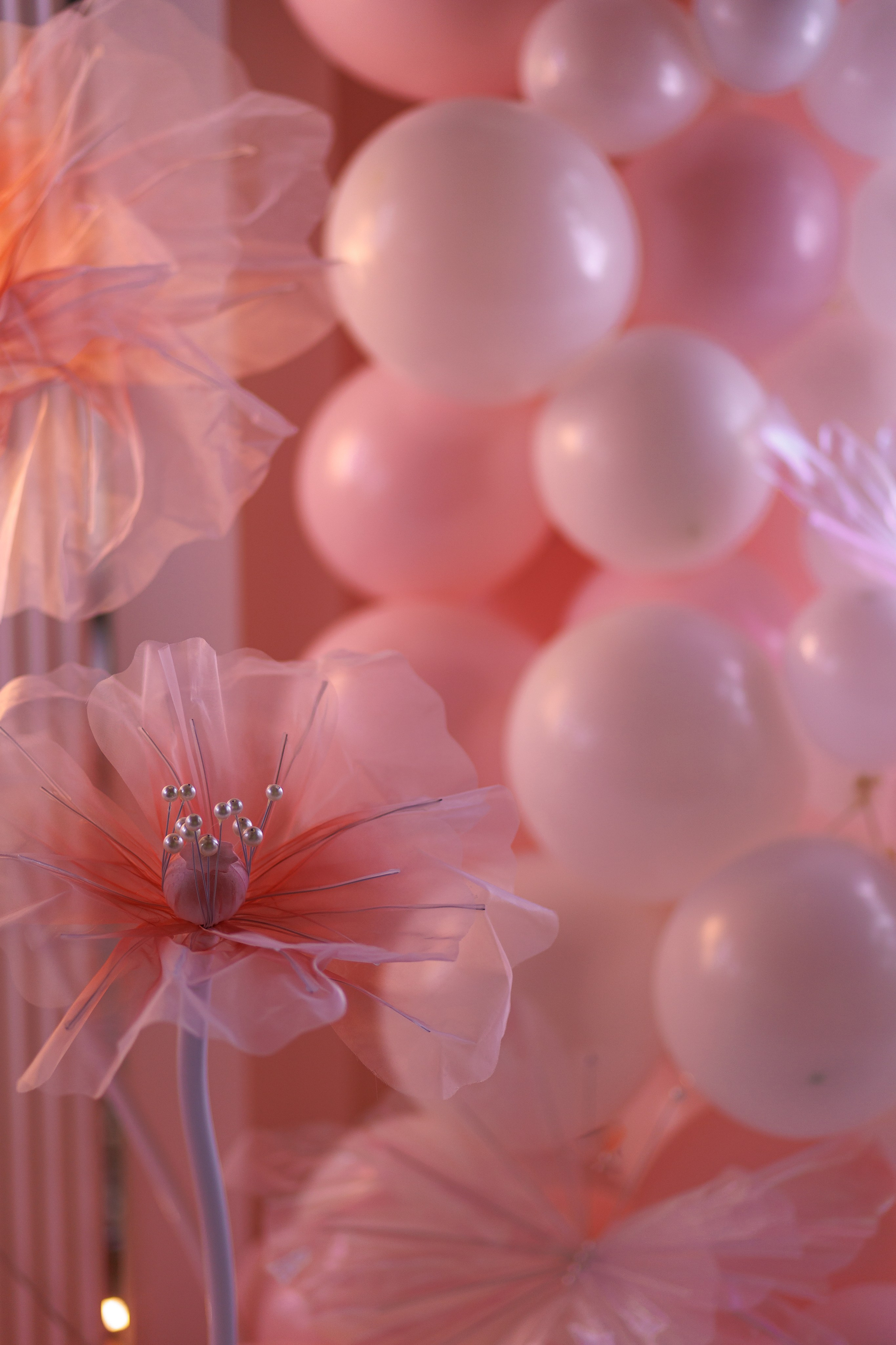 ДР Анны и Алисы. Свадебный фотограф в Москве — Ольга Козловская