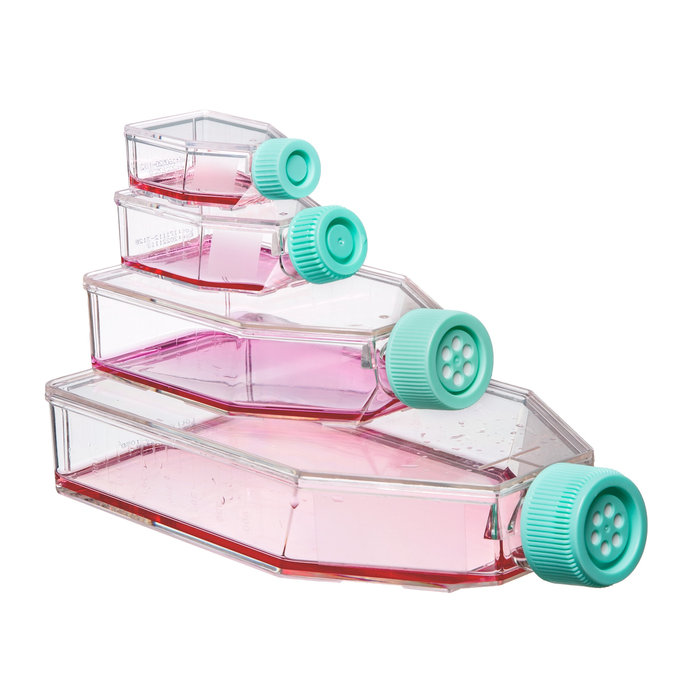 Предметка. Фотограф ваших чувств в Санкт-Петербурге