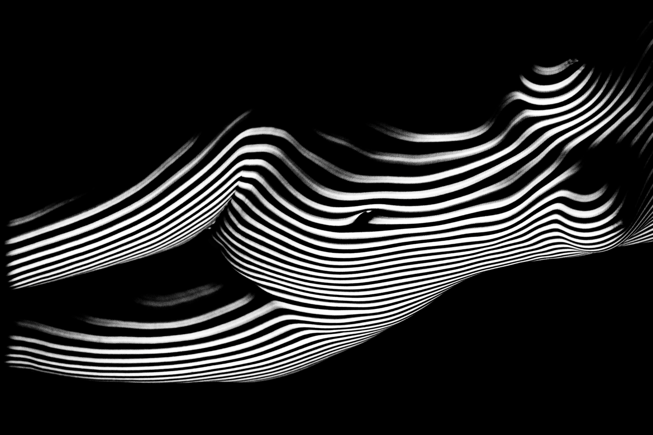 НЮ. Георгий Тришаков