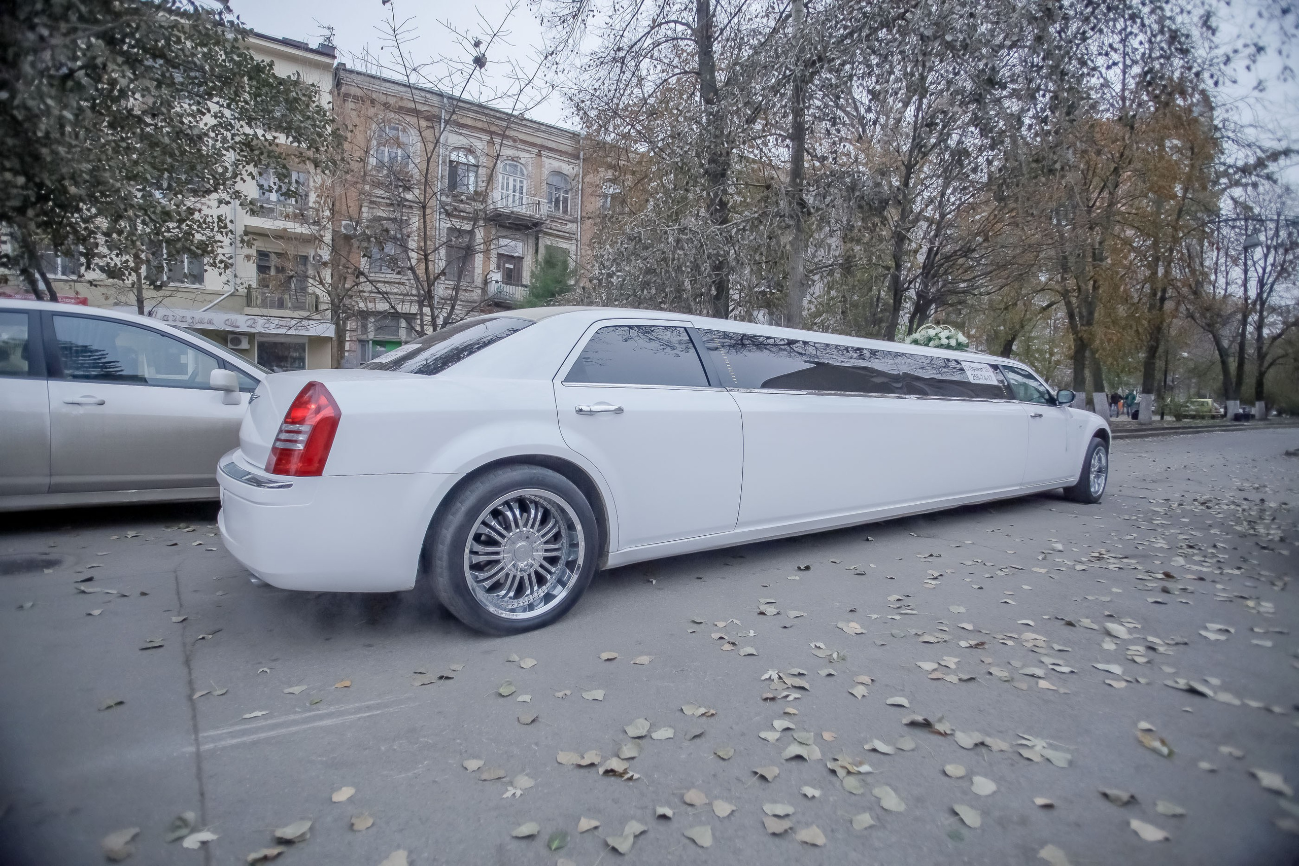 Регистрация/Register. Максим Матвийченко и Виктория Басова профессионалы своего дела